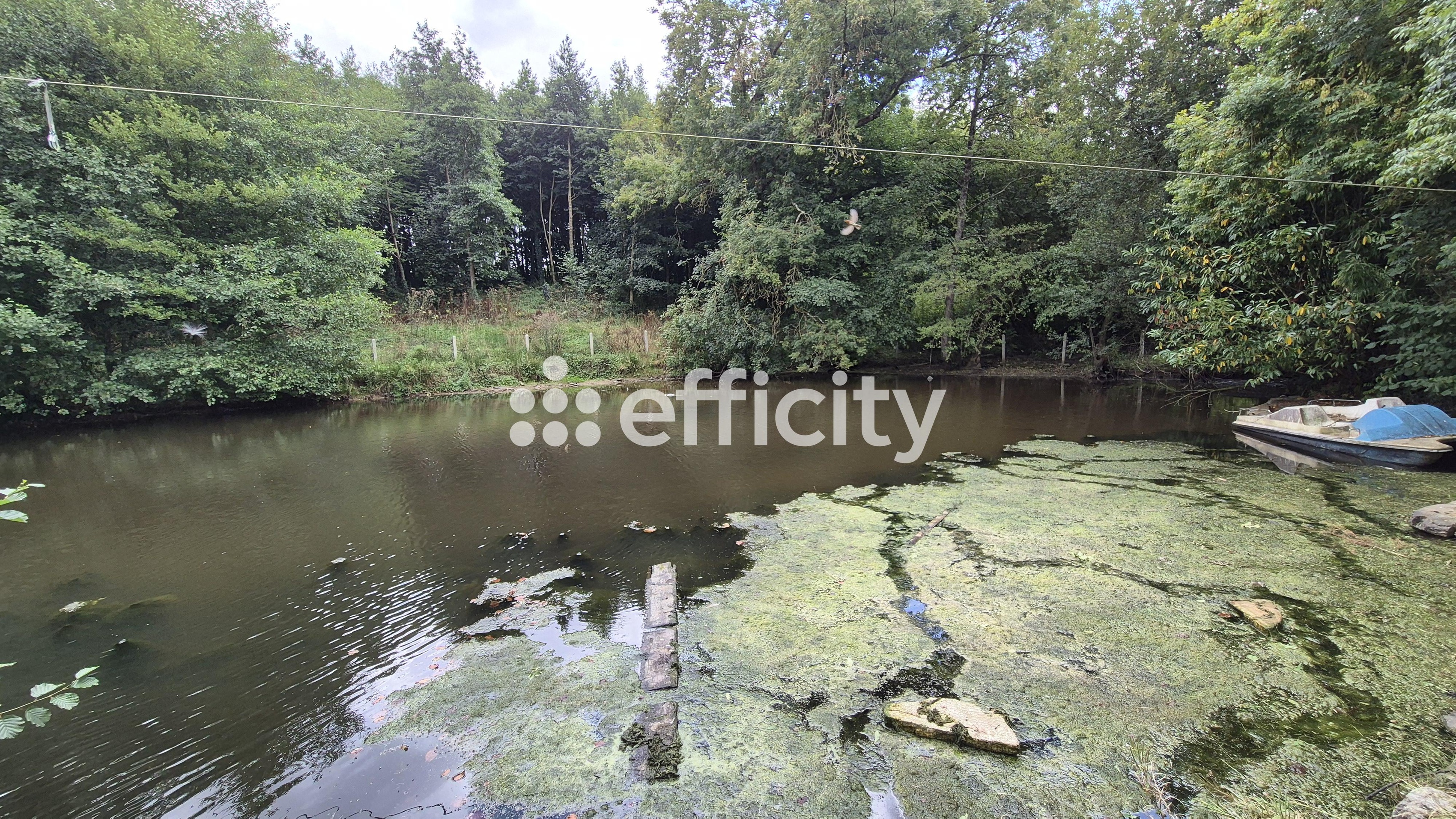 Achat immobilier Maison 15 pièces  386m2 à Caumont-sur-Aure (14240) - Photo n°12