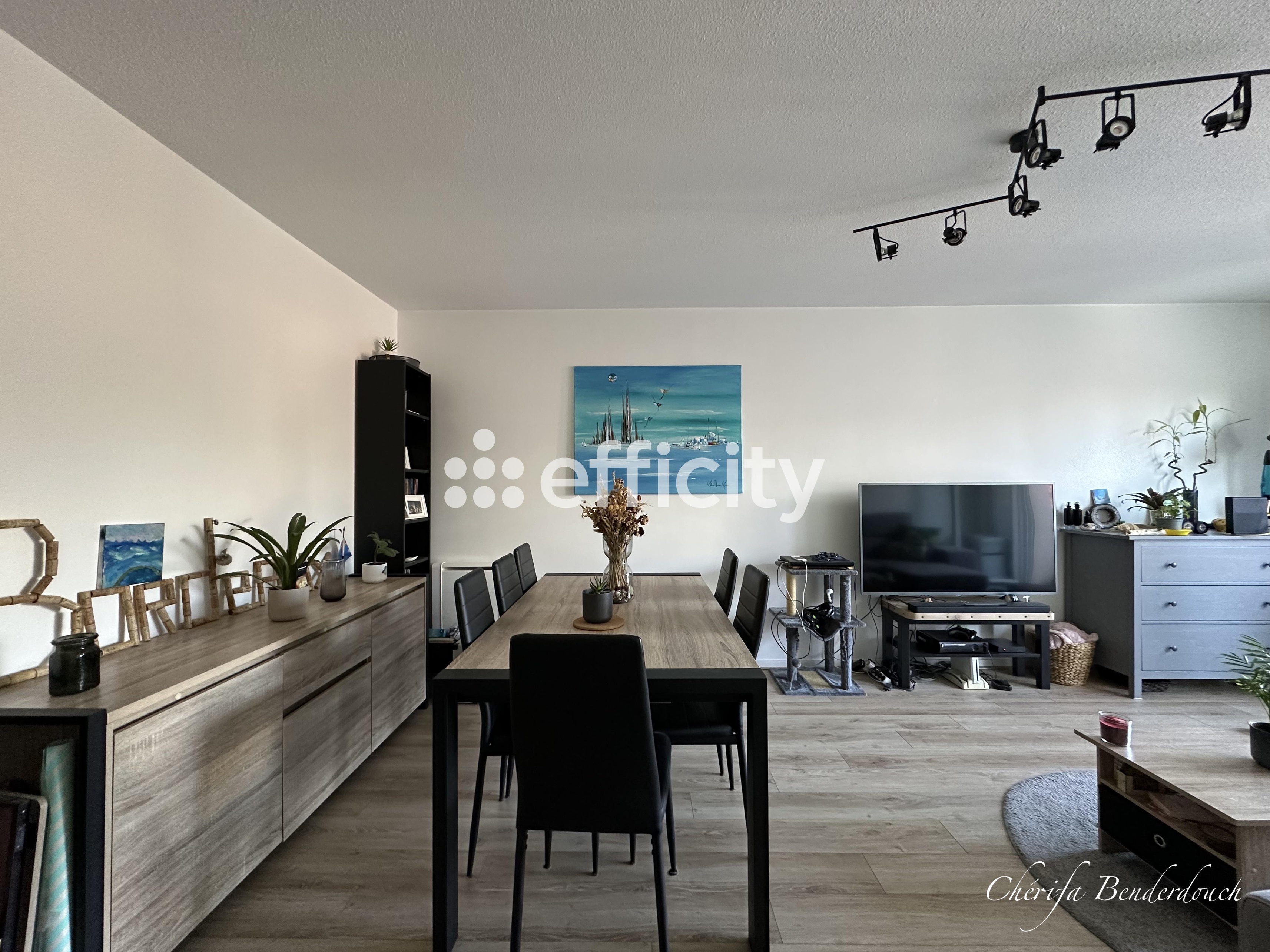 Achat immobilier Appartement 2 pièces  48m2 à Mérignac (33700) - Photo n°5