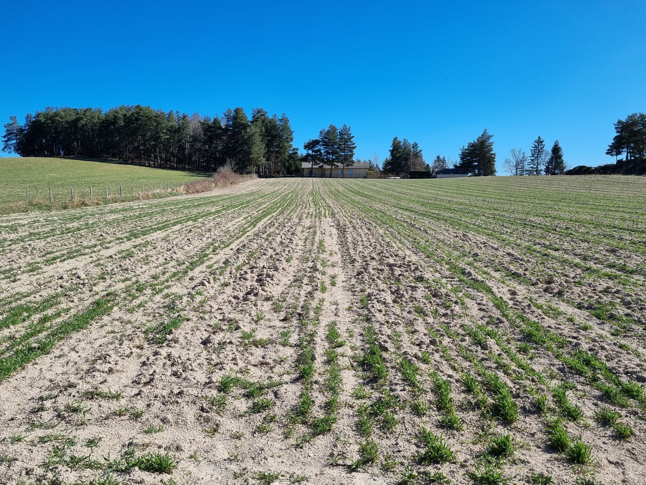 terrain  - 2894m2 à Le Malzieu-Forain (48140)