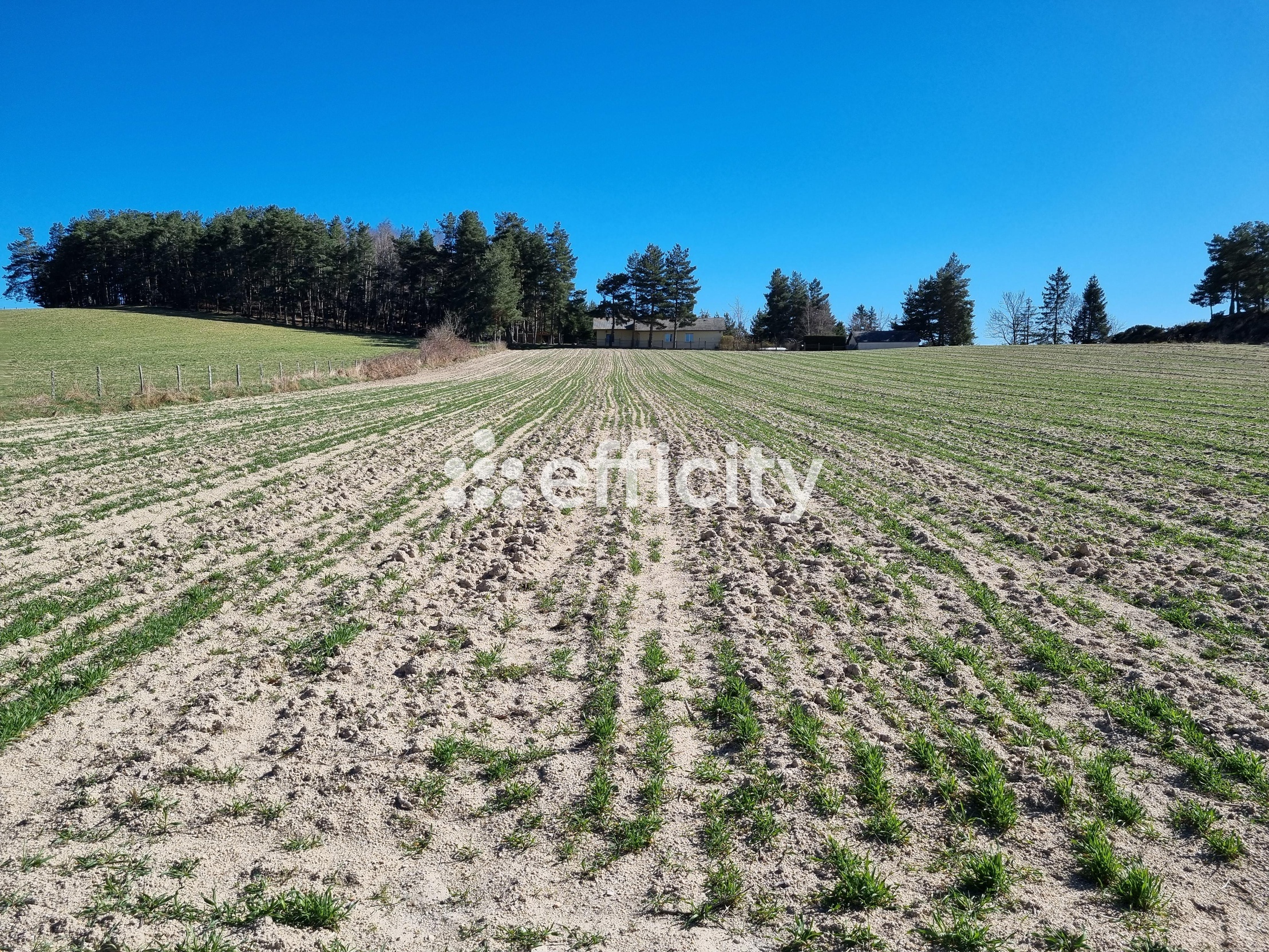 terrain  - 2894m2 à Le Malzieu-Forain (48140)