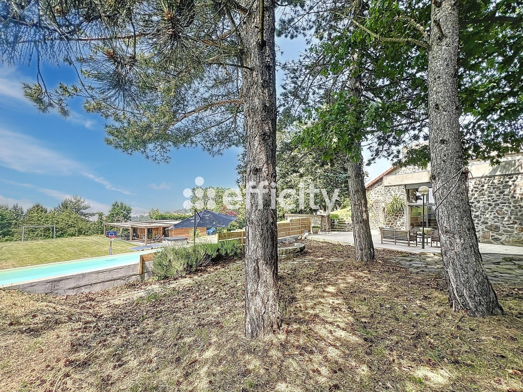 Achat immobilier Maison 5 pièces  243m2 à Le Puy-en-Velay (43000) - Photo n°11