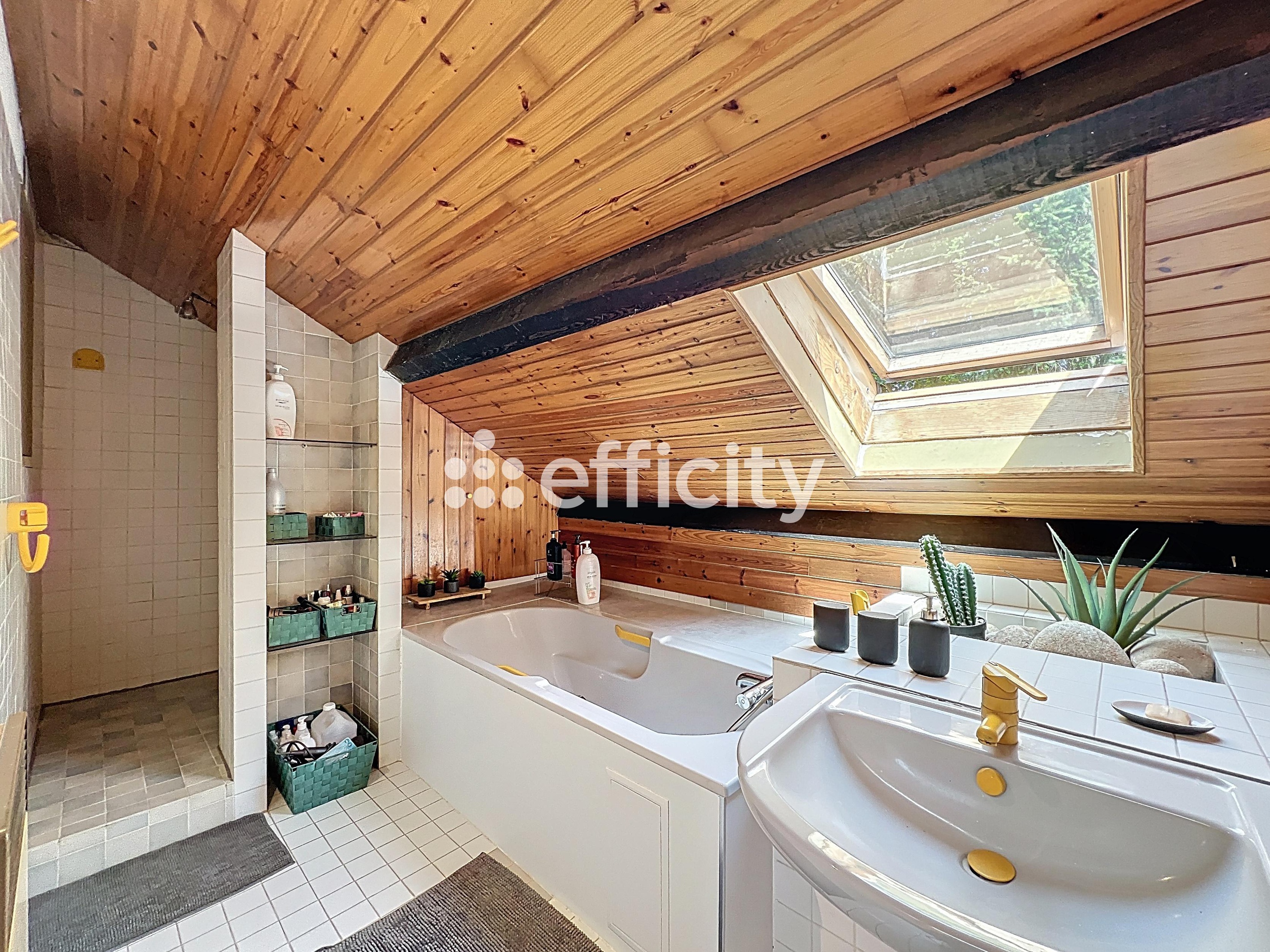 Achat immobilier Maison 5 pièces  243m2 à Le Puy-en-Velay (43000) - Photo n°25