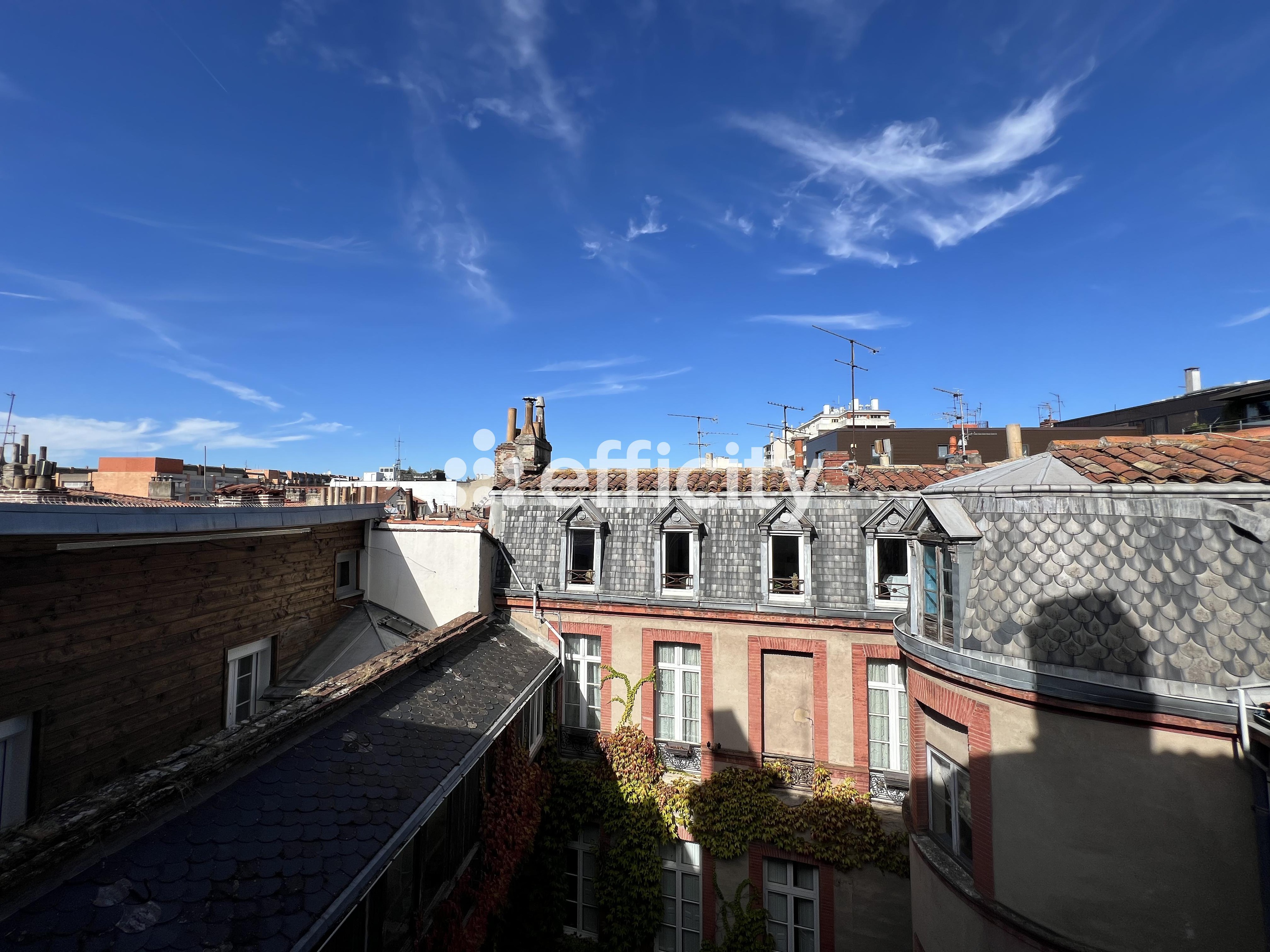 Achat immobilier Appartement 5 pièces  145m2 à Toulouse (31000) - Photo n°8