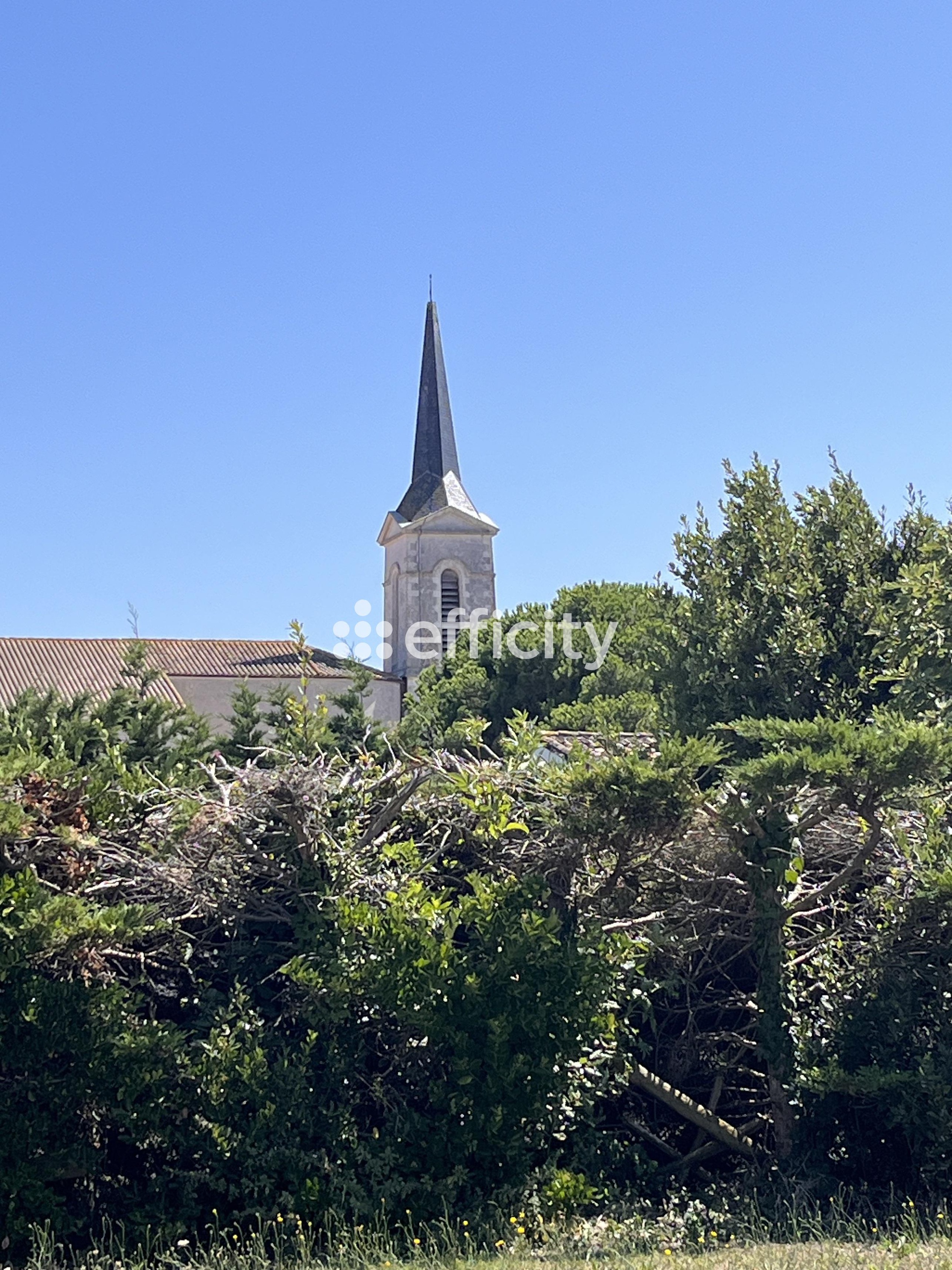 Achat immobilier Maison 3 pièces  80m2 à Saint-Clément-des-Baleines (17590) - Photo n°1