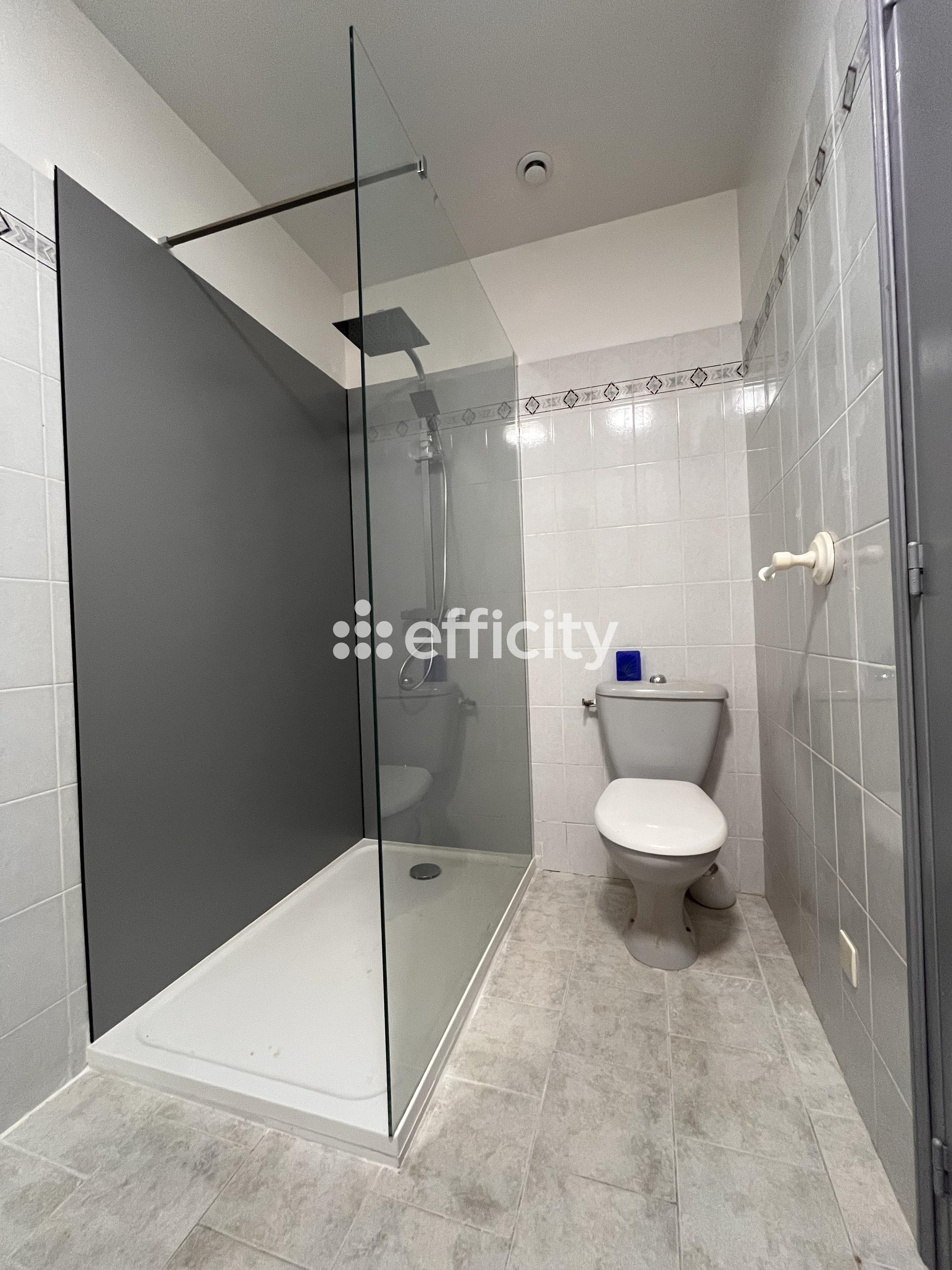 Achat immobilier Maison 3 pièces  80m2 à Saint-Clément-des-Baleines (17590) - Photo n°10