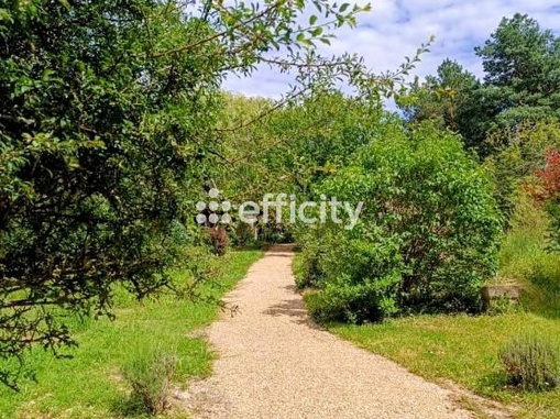 Achat immobilier Maison 7 pièces  164m2 à Cheillé (37190) - Photo n°6