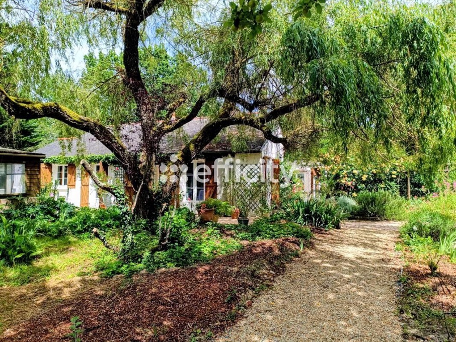 Achat immobilier Maison 7 pièces  164m2 à Cheillé (37190) - Photo n°4