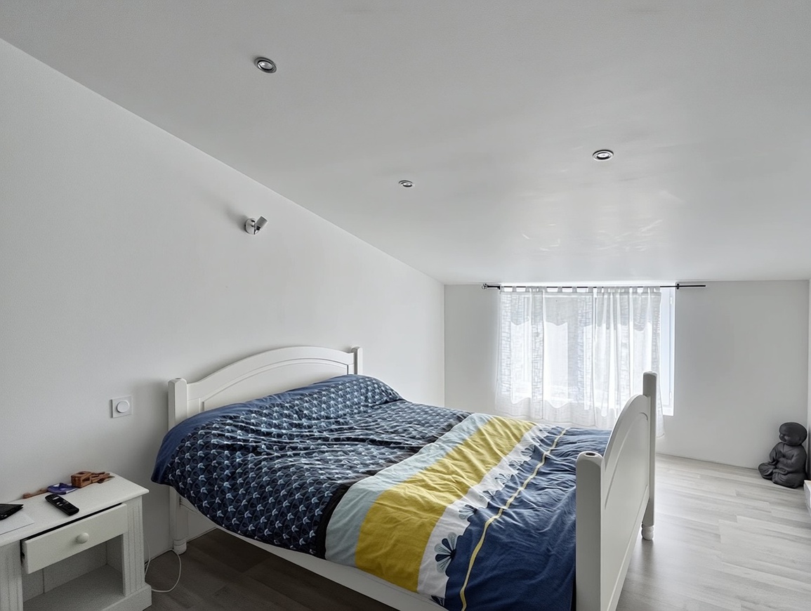 Achat immobilier Maison 11 pièces  345m2 à Nieulle-sur-Seudre (17600) - Photo n°13