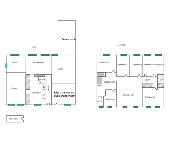 Achat immobilier Maison 11 pièces  345m2 à Nieulle-sur-Seudre (17600) - Photo n°18