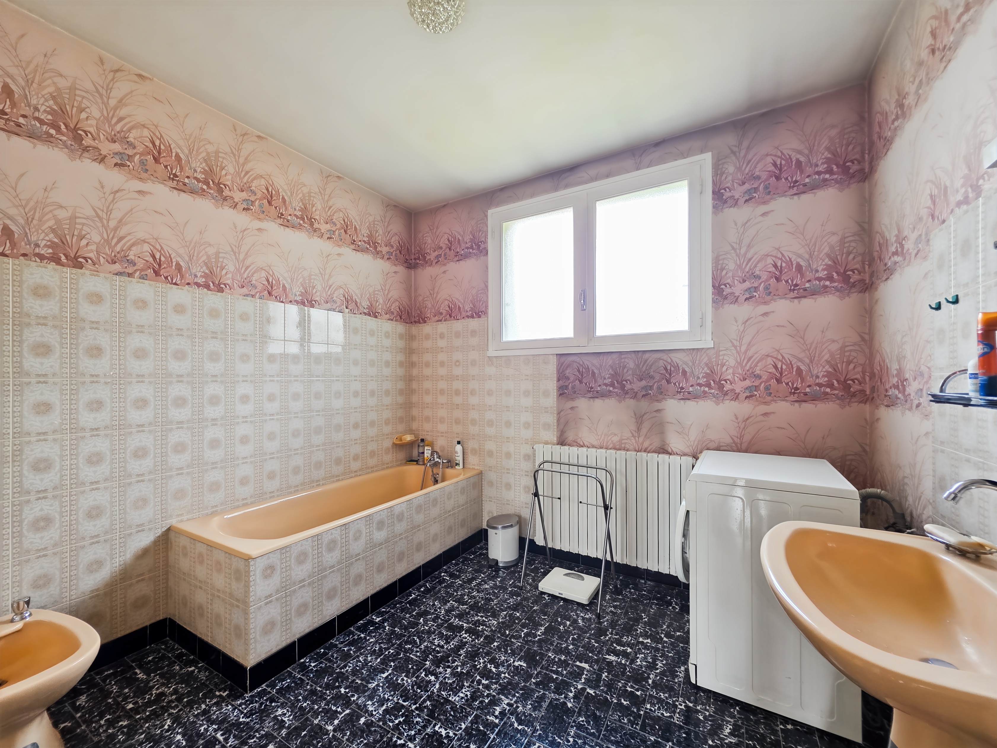 Achat immobilier Maison 4 pièces  170m2 à Colayrac-Saint-Cirq (47450) - Photo n°5