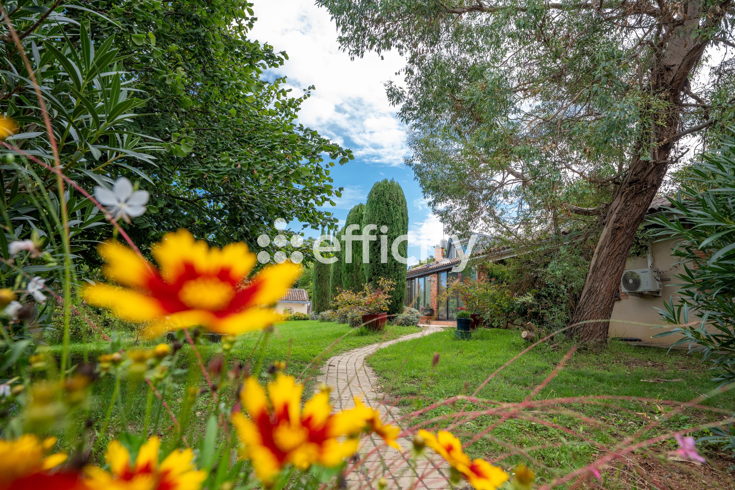 Achat immobilier Maison 7 pièces  344m2 à Pin-Balma (31130) - Photo n°6