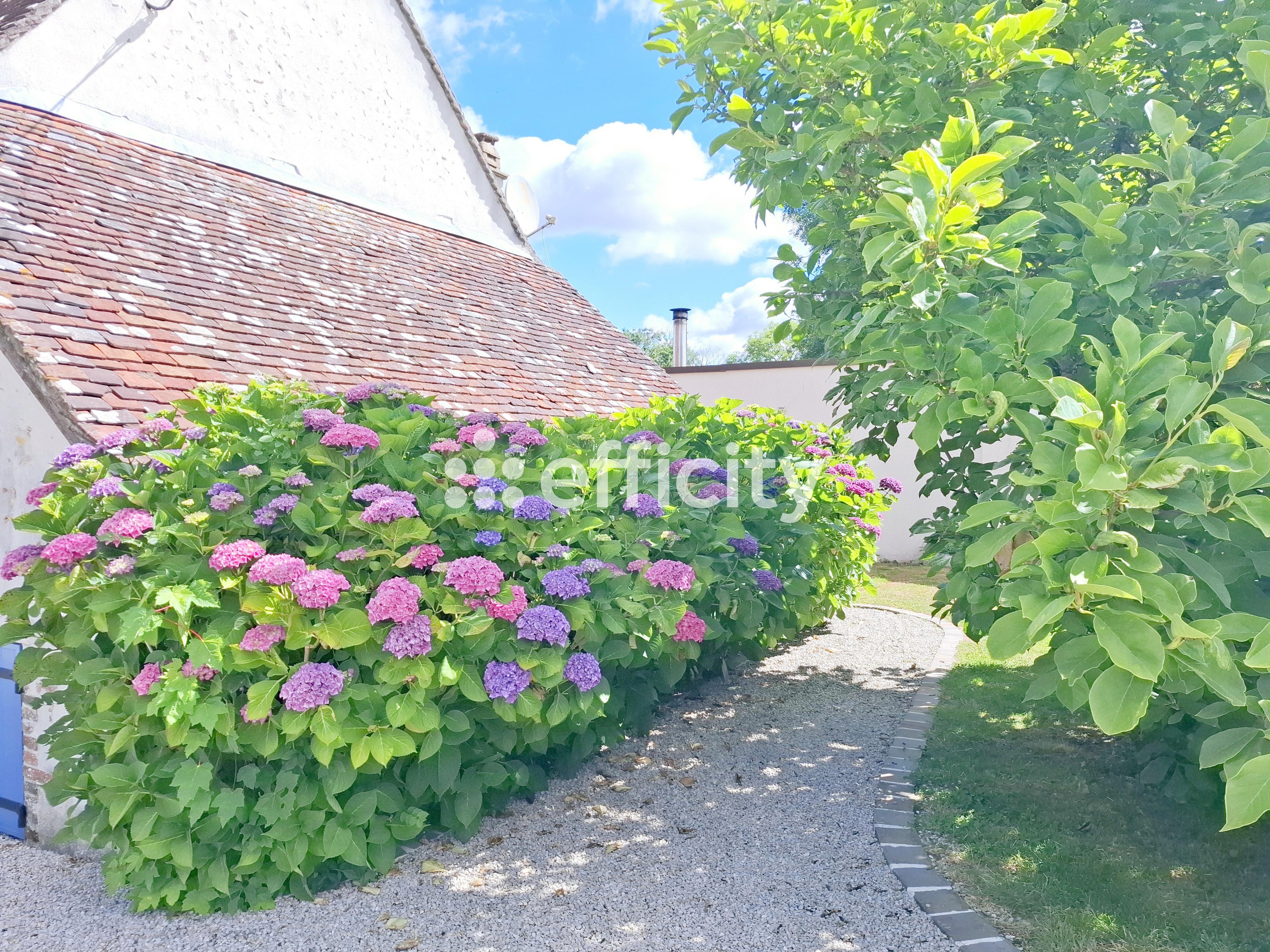 Achat immobilier Maison 8 pièces  335m2 à Nogent-le-Rotrou (28400) - Photo n°5