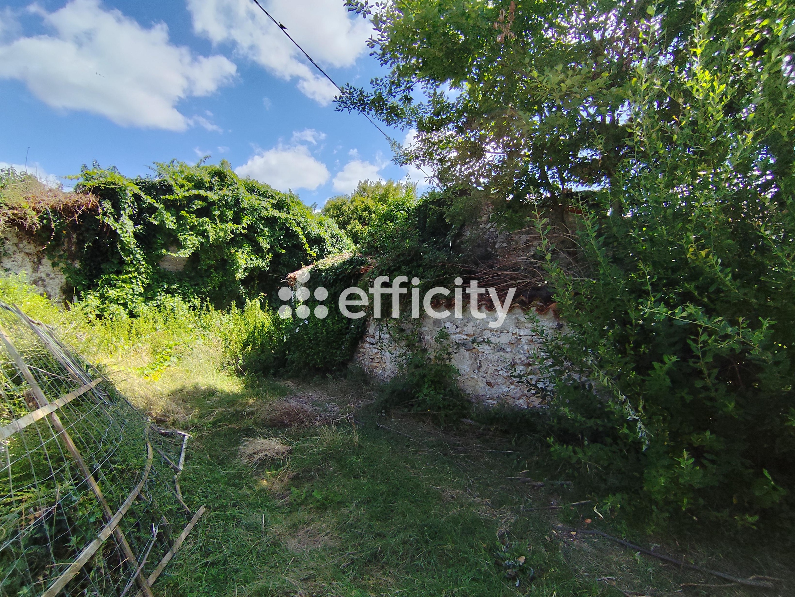 Achat immobilier Maison 1 pièces  75m2 à Saintes (17100) - Photo n°4