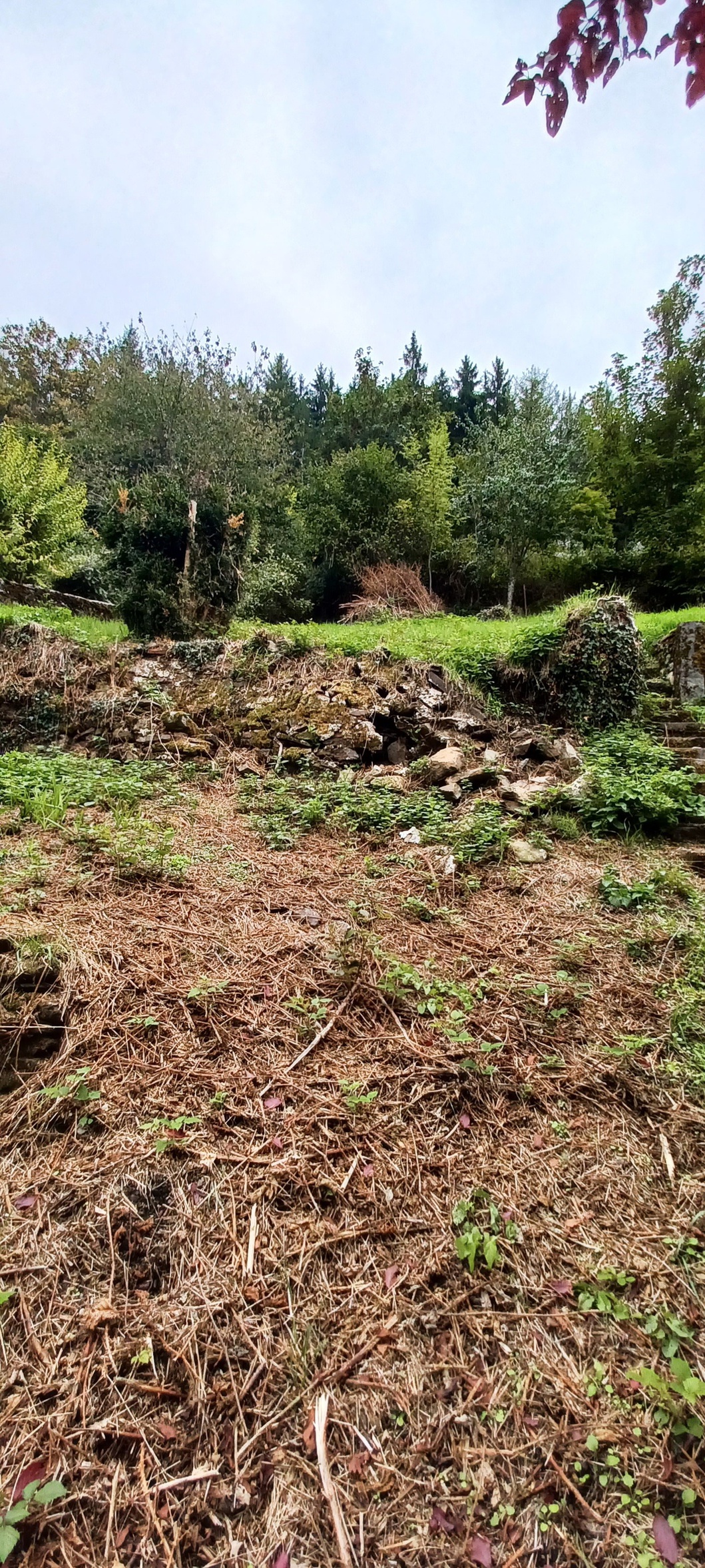 Achat immobilier Maison 5 pièces  250m2 à Chaudes-Aigues (15110) - Photo n°11