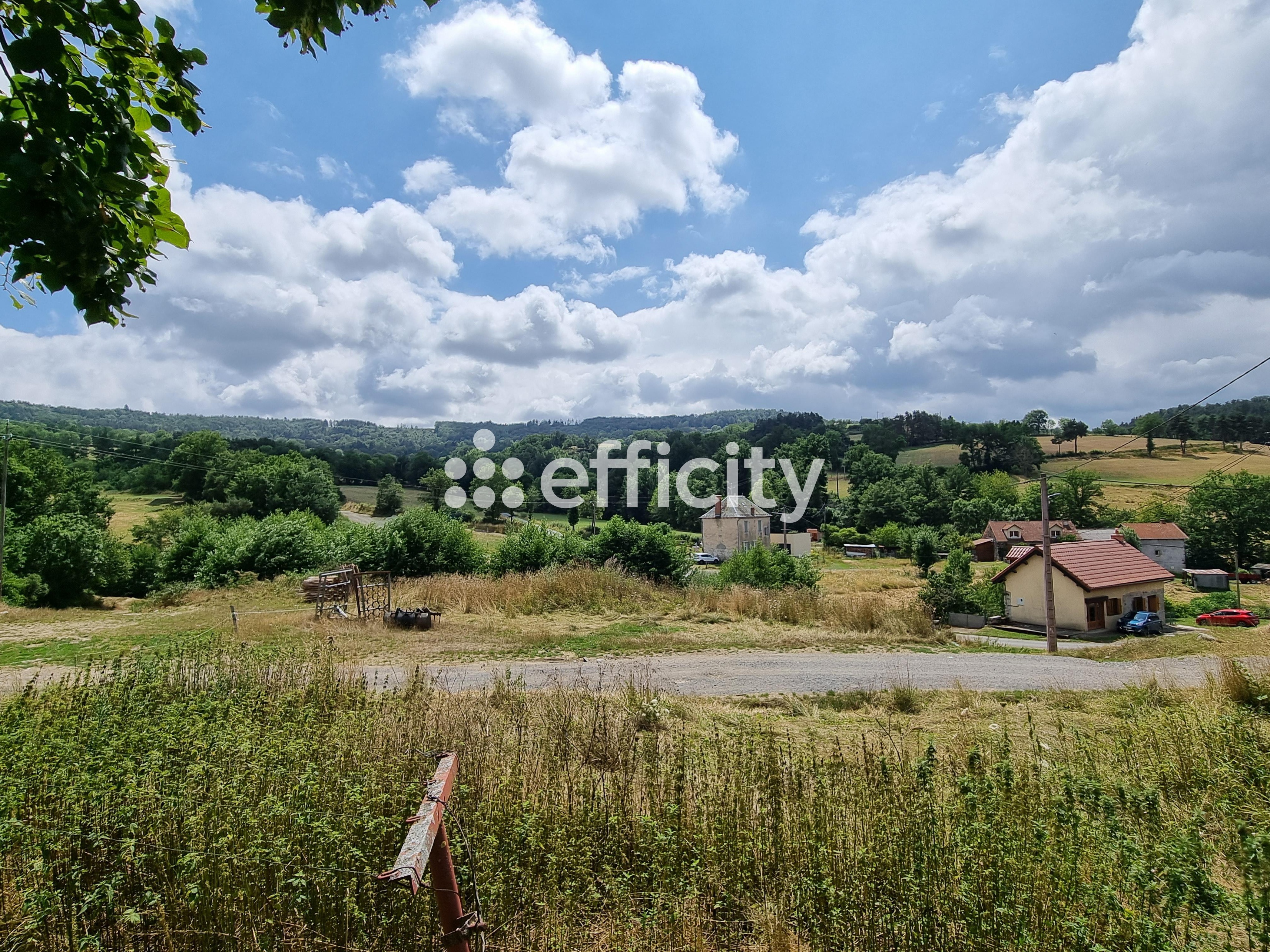 Achat immobilier Maison 8 pièces  133m2 à Lorcières (15320) - Photo n°5