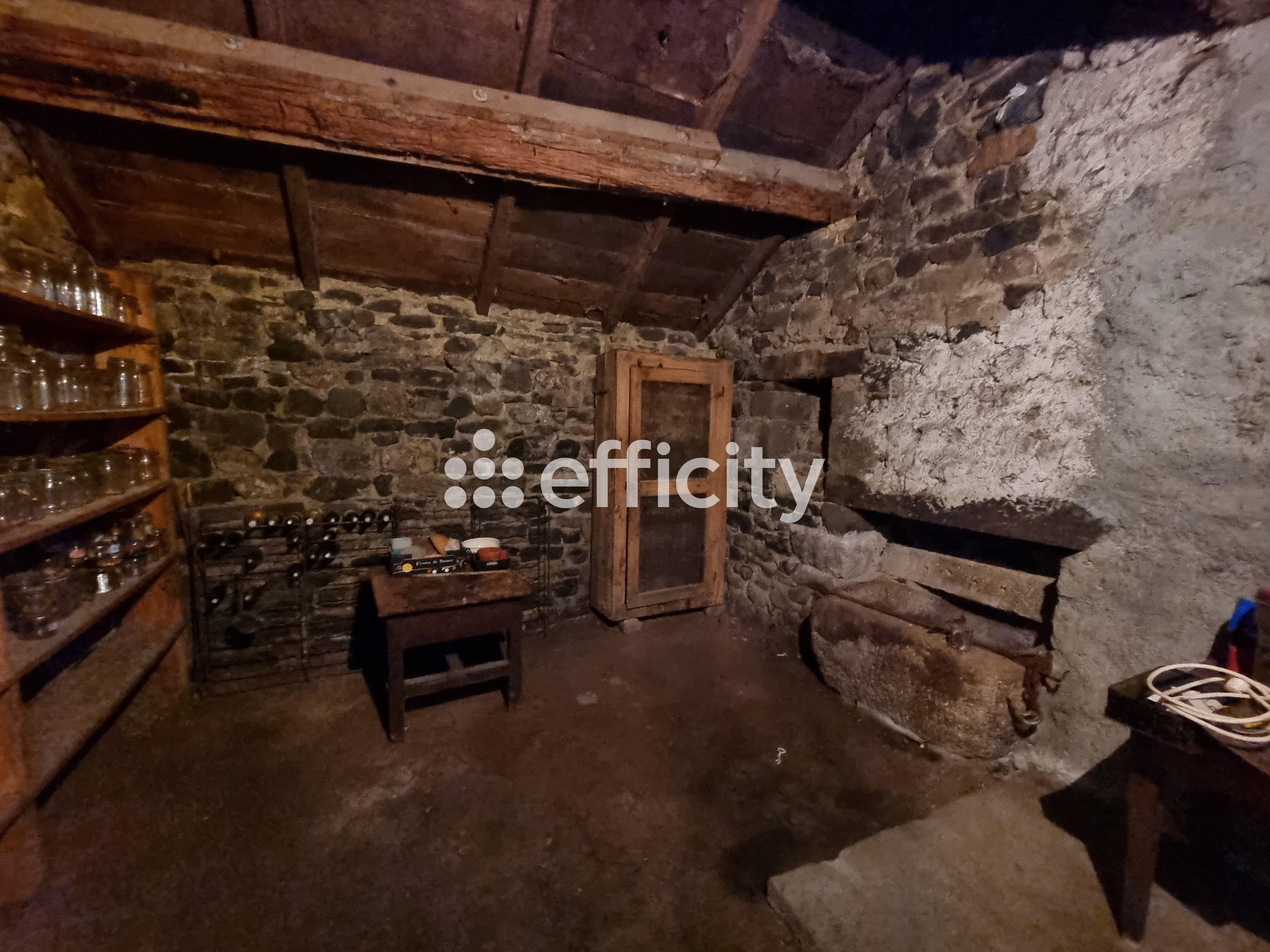 Achat immobilier Maison 8 pièces  133m2 à Lorcières (15320) - Photo n°33