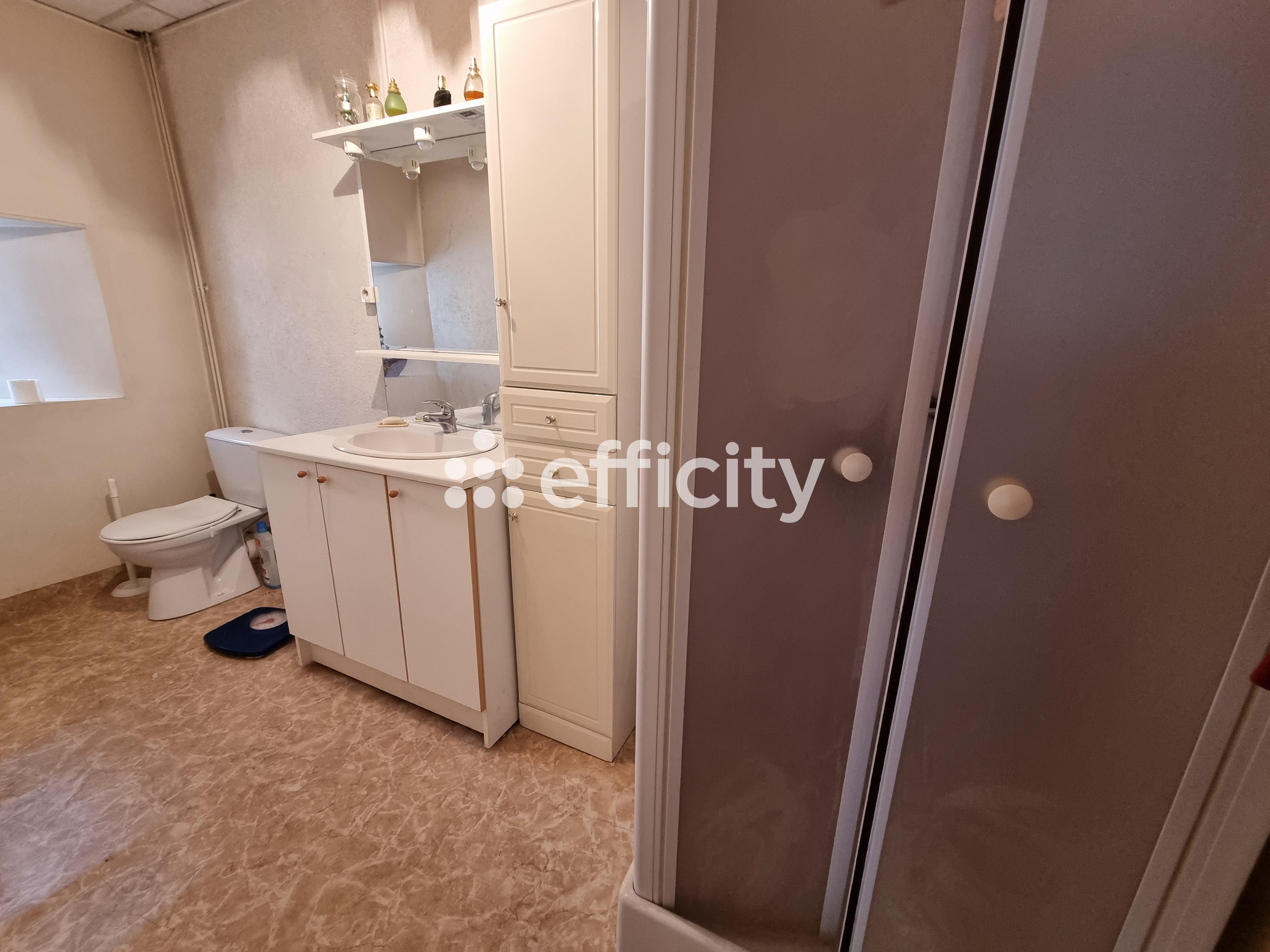 Achat immobilier Maison 8 pièces  133m2 à Lorcières (15320) - Photo n°21