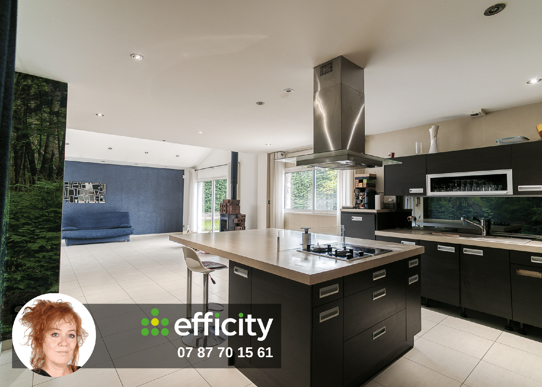 Achat immobilier Maison 7 pièces  186m2 à Saint-Romain-de-Jalionas (38460) - Photo n°1