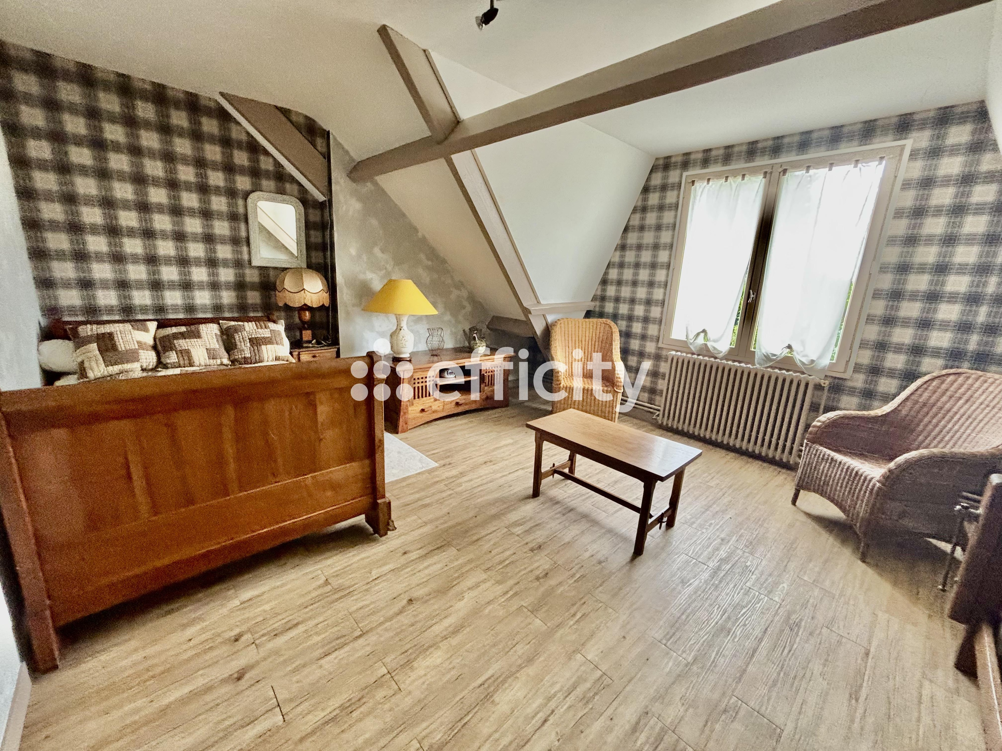Achat immobilier Maison 15 pièces  340m2 à Issoudun (36100) - Photo n°7