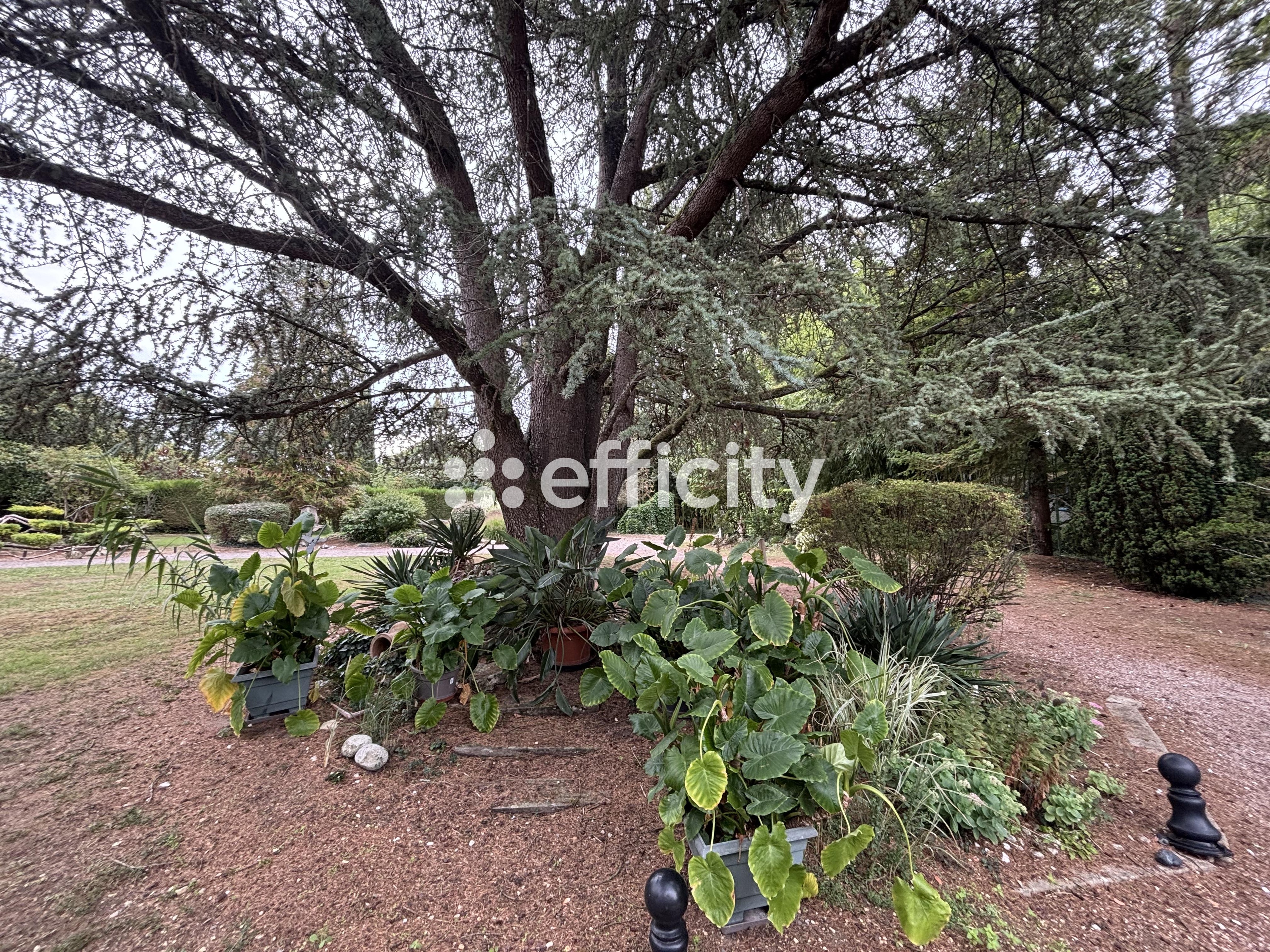 Achat immobilier Maison 15 pièces  340m2 à Issoudun (36100) - Photo n°6