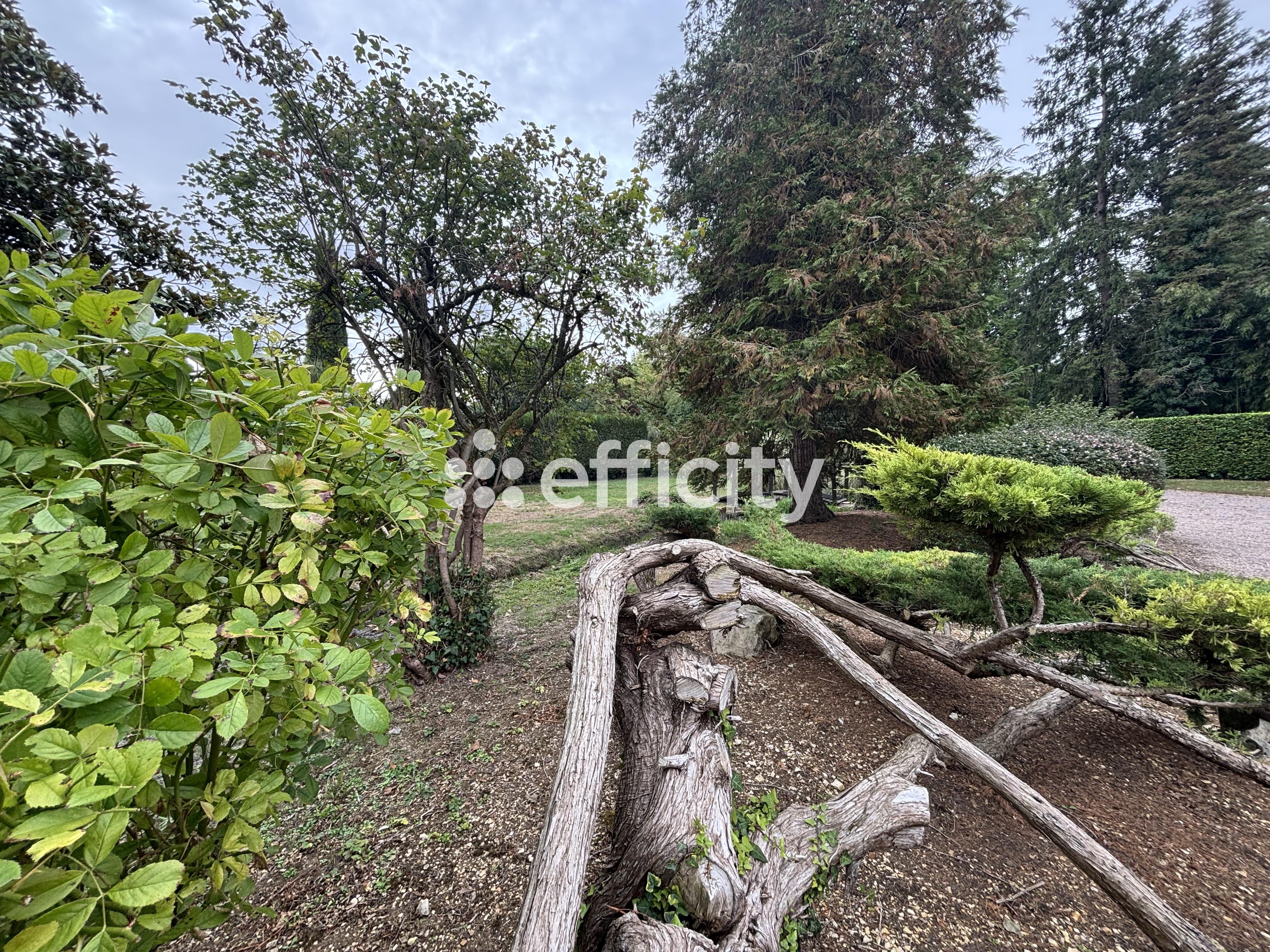 Achat immobilier Maison 15 pièces  340m2 à Issoudun (36100) - Photo n°5