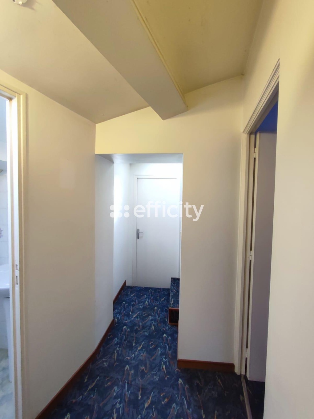 Achat immobilier Maison 4 pièces  102m2 à Saint-Philbert-de-Grand-Lieu (44310) - Photo n°9