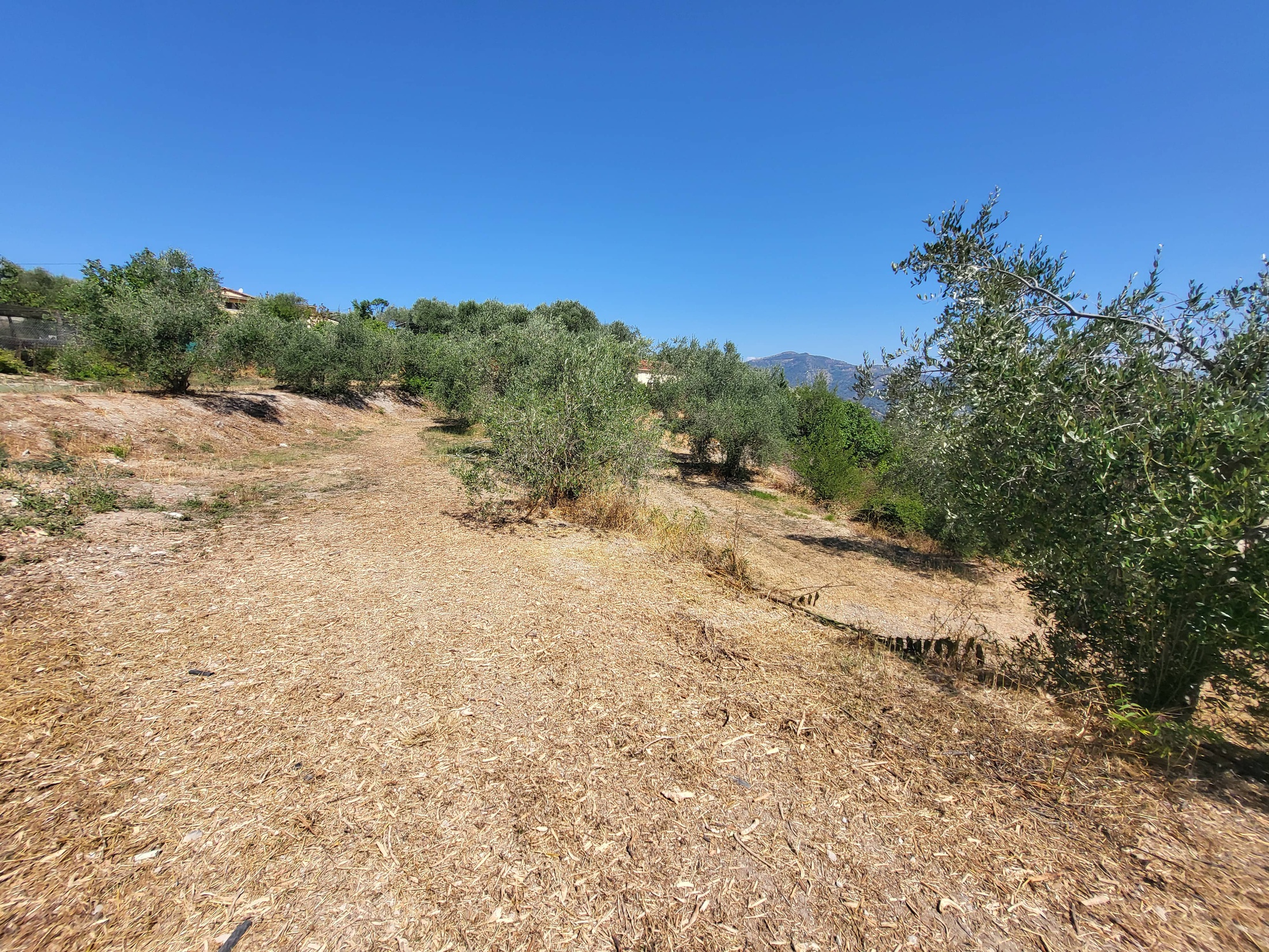 terrain  - 3964m2 à La Trinité (06340)