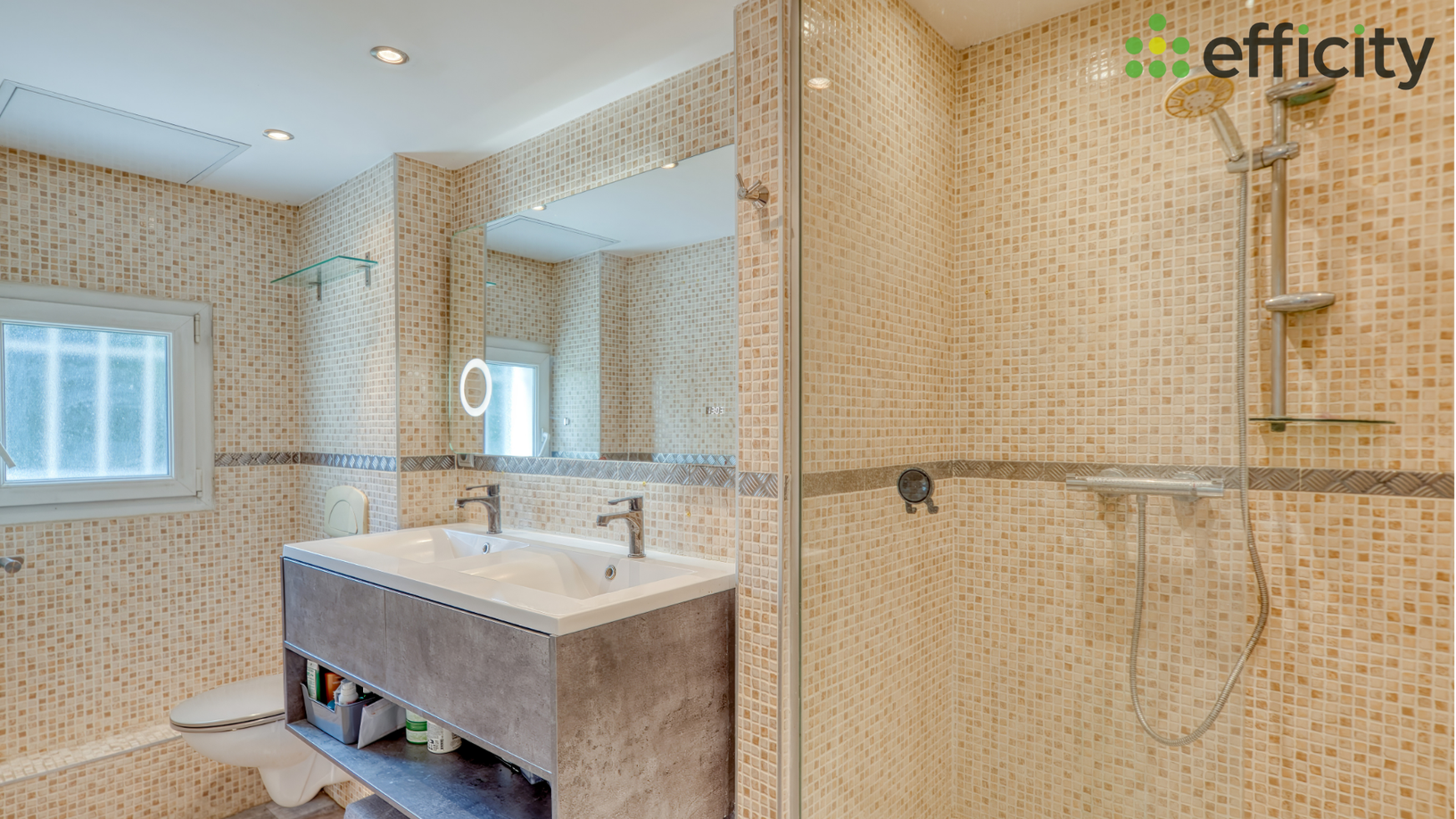 Achat immobilier Maison 8 pièces  264m2 à Chavanoz (38230) - Photo n°14