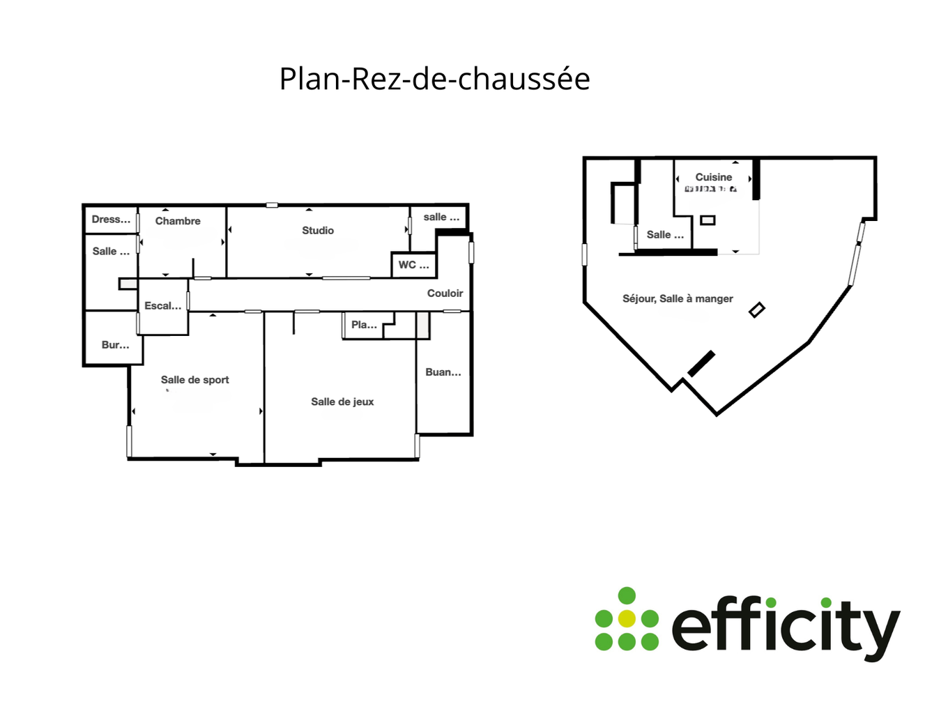 Achat immobilier Maison 8 pièces  264m2 à Chavanoz (38230) - Photo n°34