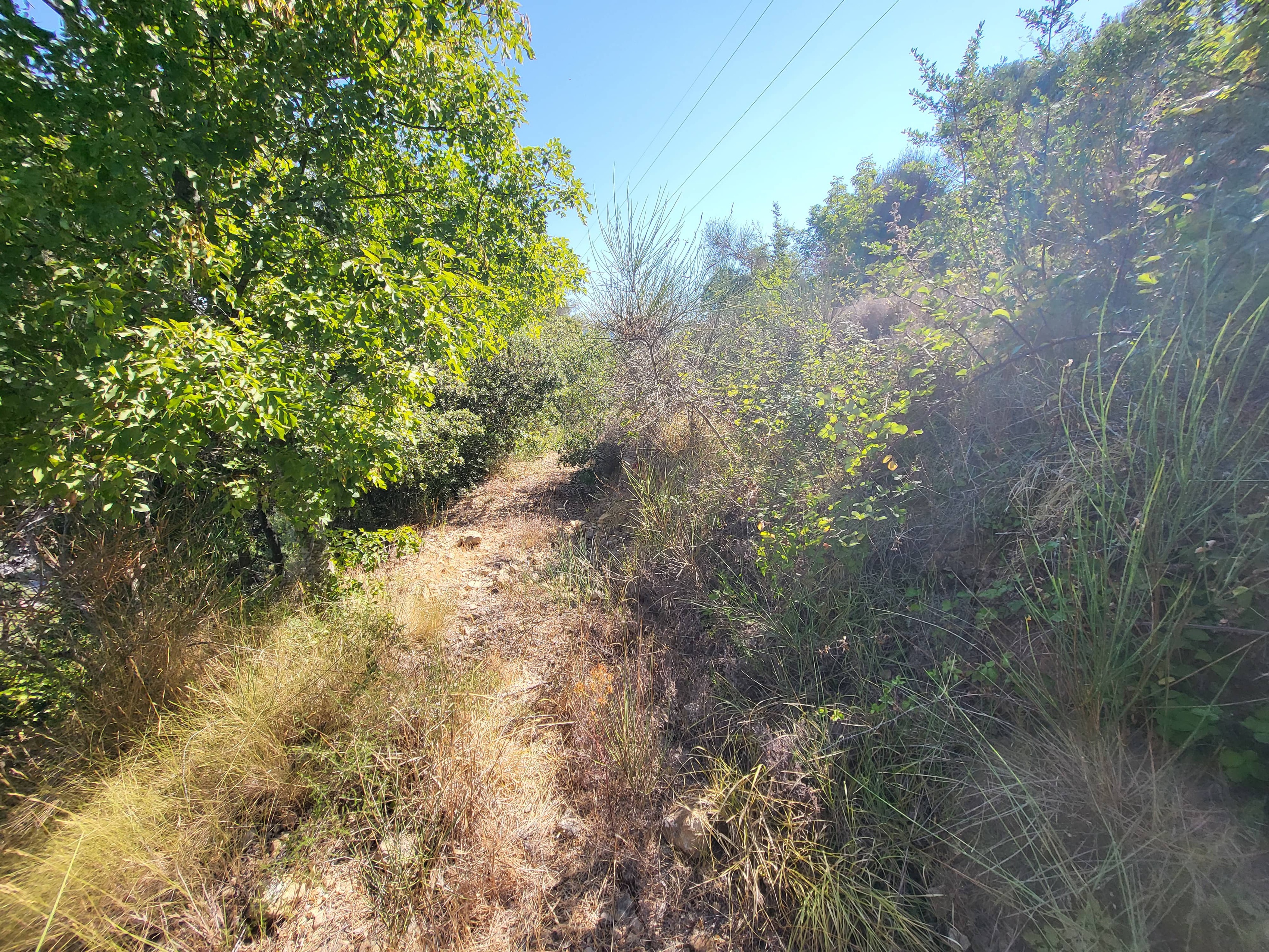 Achat immobilier Terrain   16415m2 à La Trinité (06340) - Photo n°10