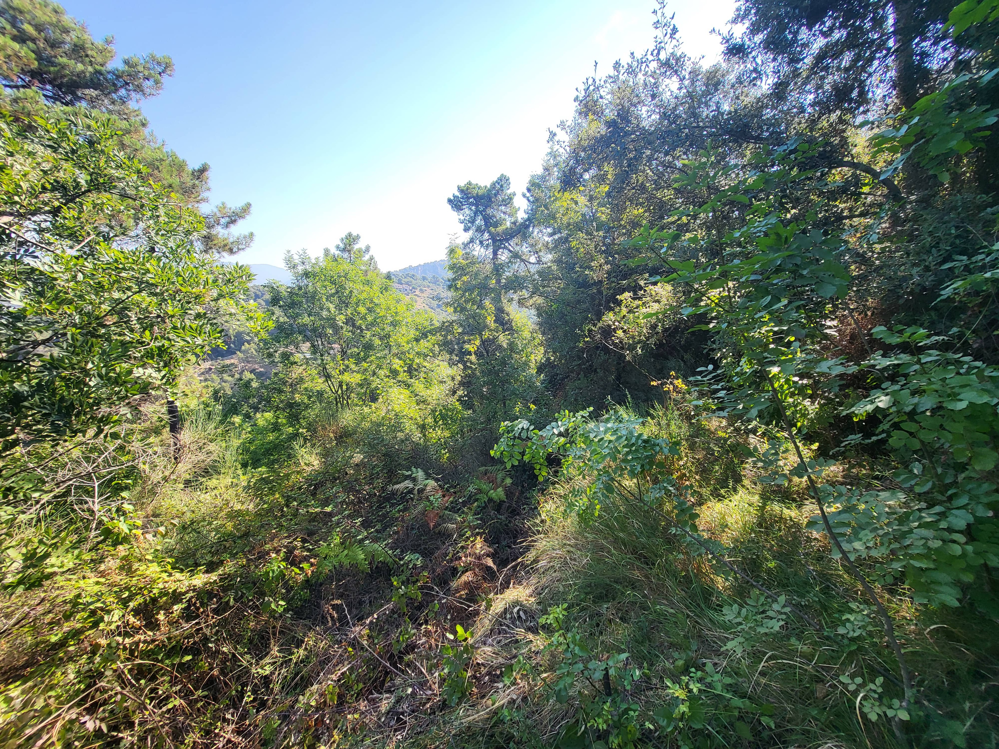 Achat immobilier Terrain   16415m2 à La Trinité (06340) - Photo n°11
