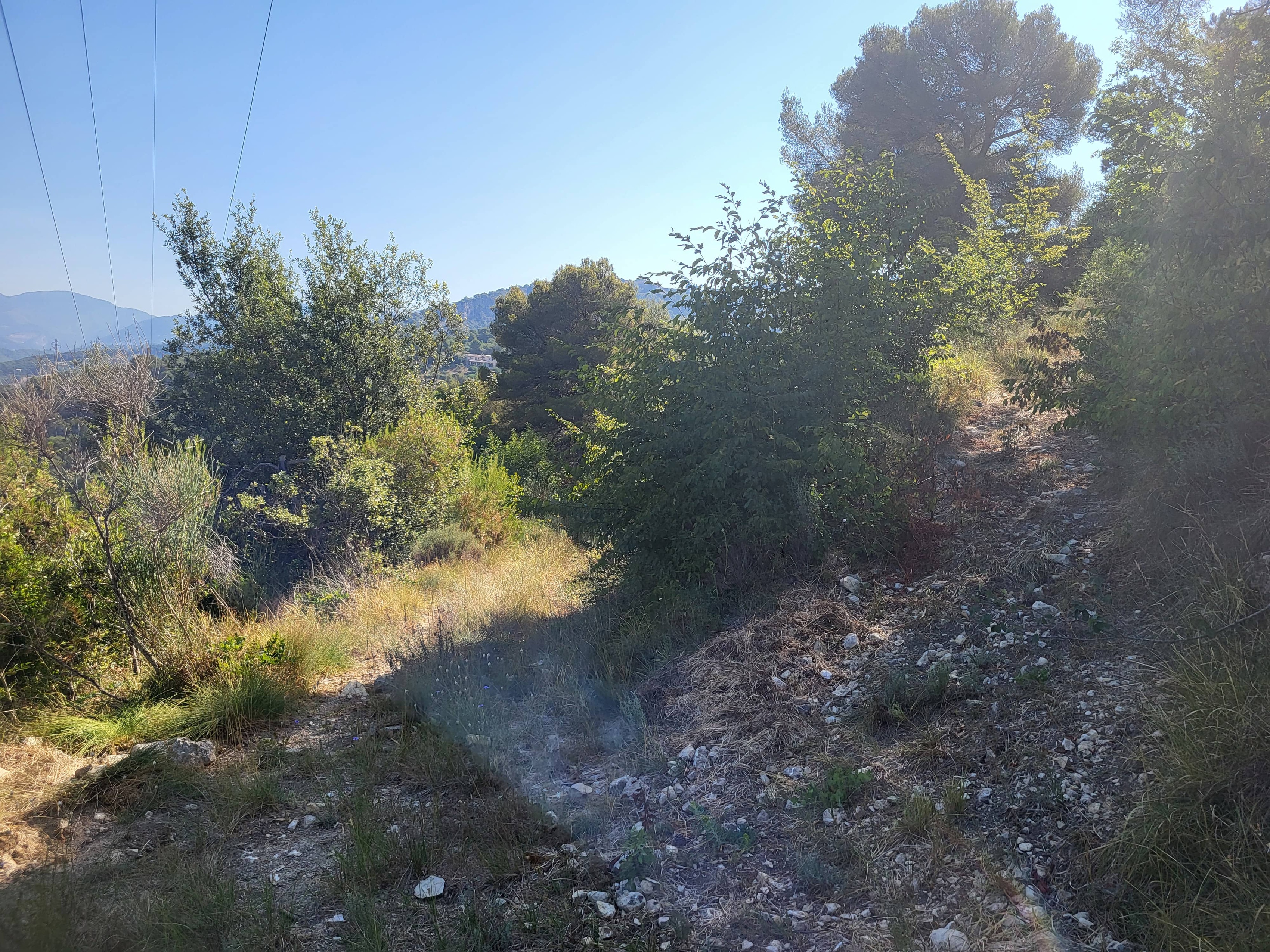 Achat immobilier Terrain   16415m2 à La Trinité (06340) - Photo n°12