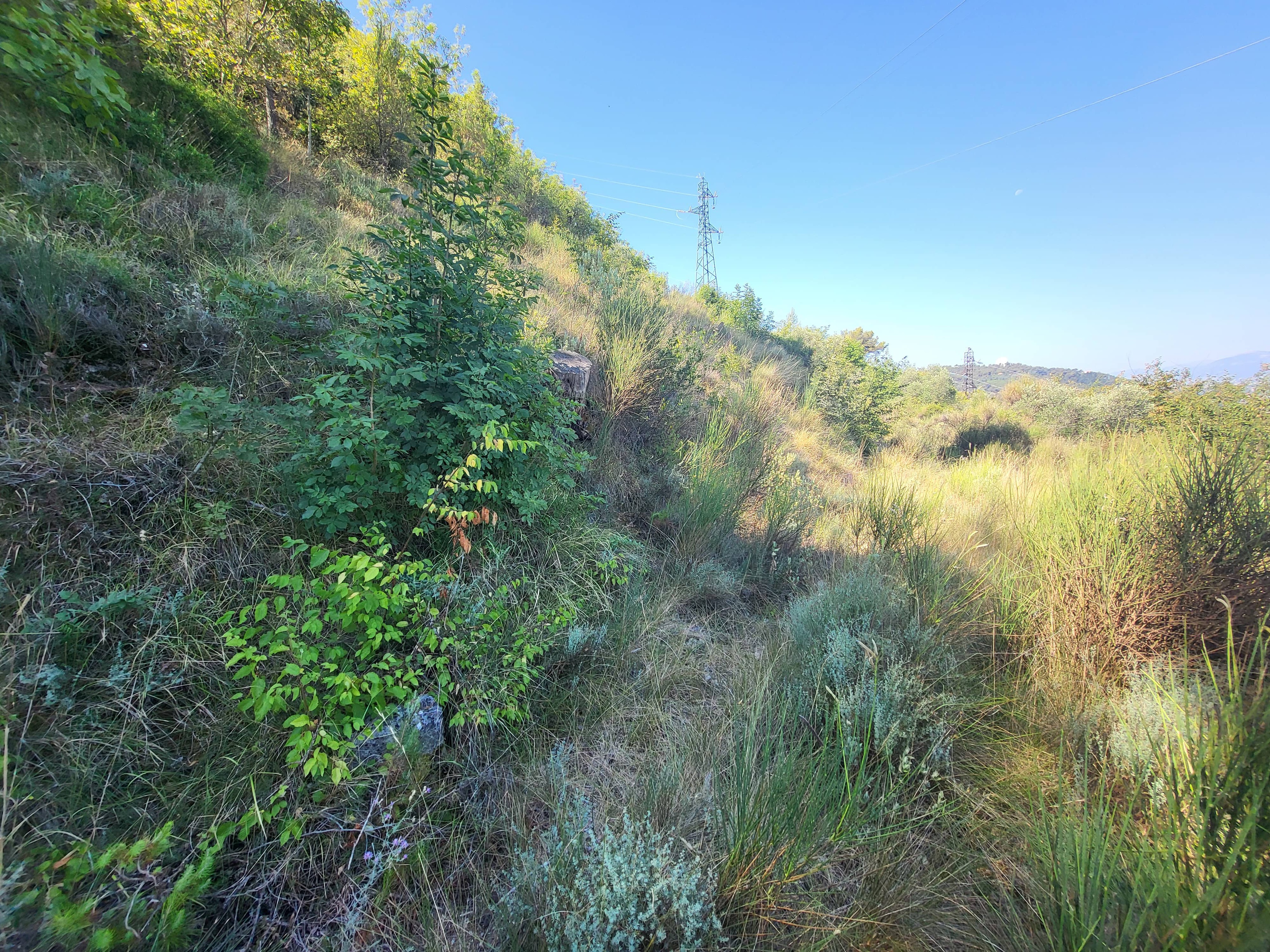 Achat immobilier Terrain   16415m2 à La Trinité (06340) - Photo n°13