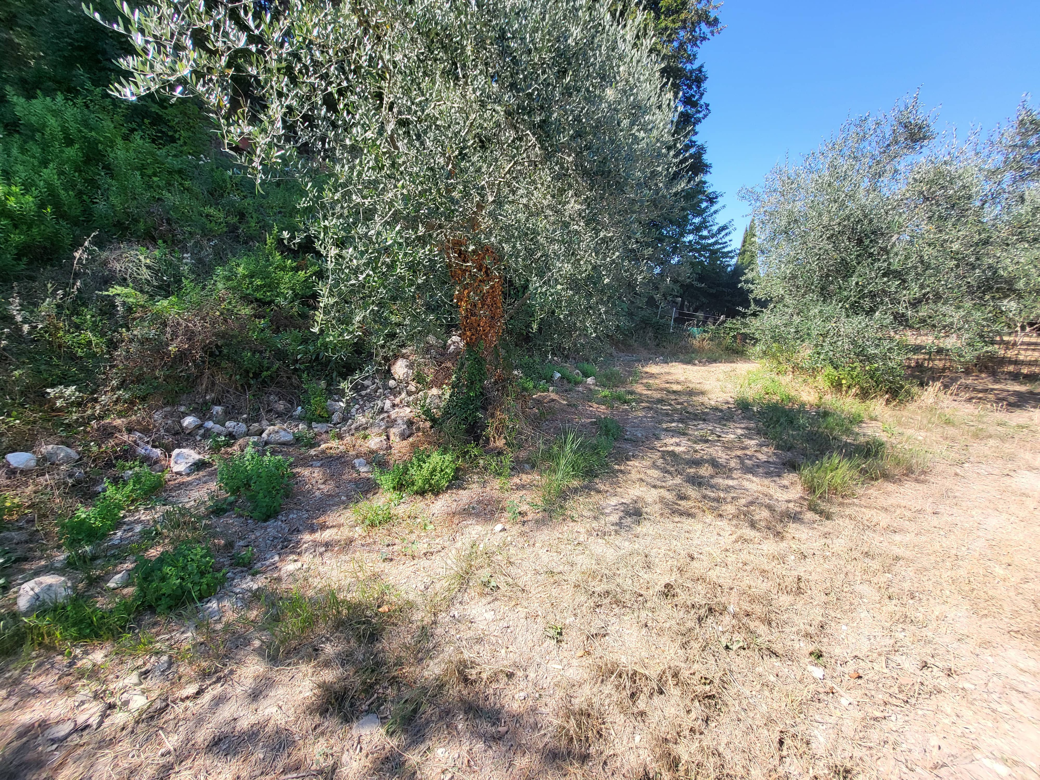 Achat immobilier Terrain   16415m2 à La Trinité (06340) - Photo n°15
