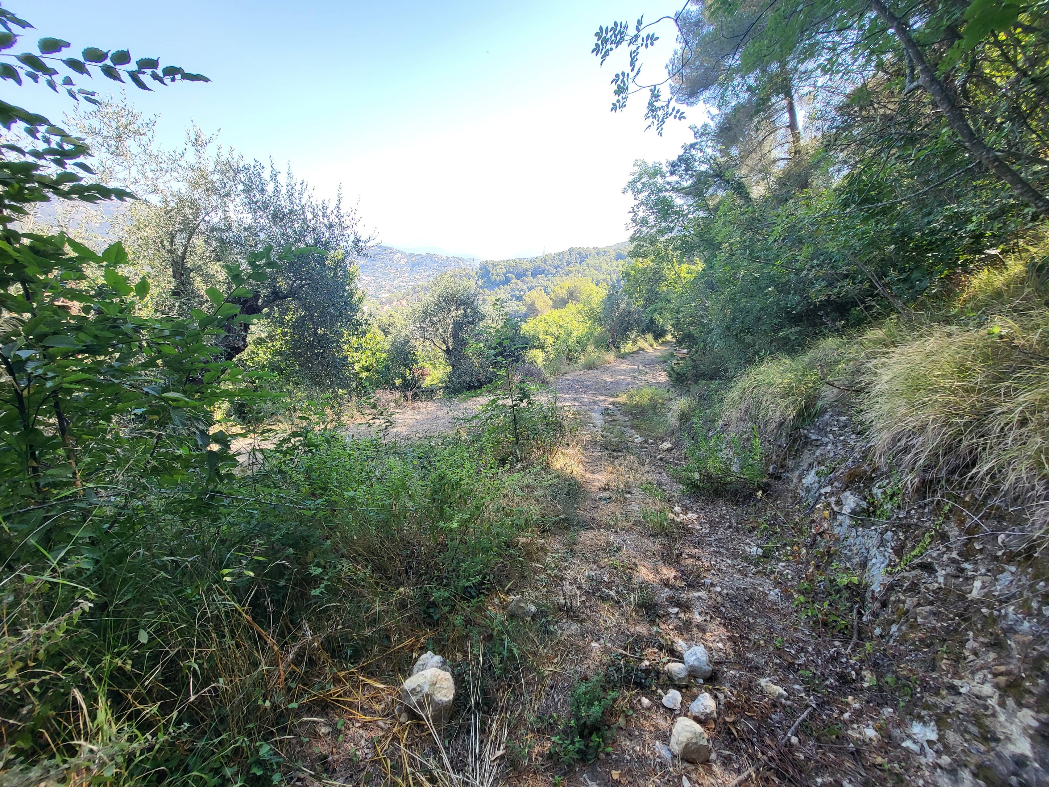 Achat immobilier Terrain   16415m2 à La Trinité (06340) - Photo n°16