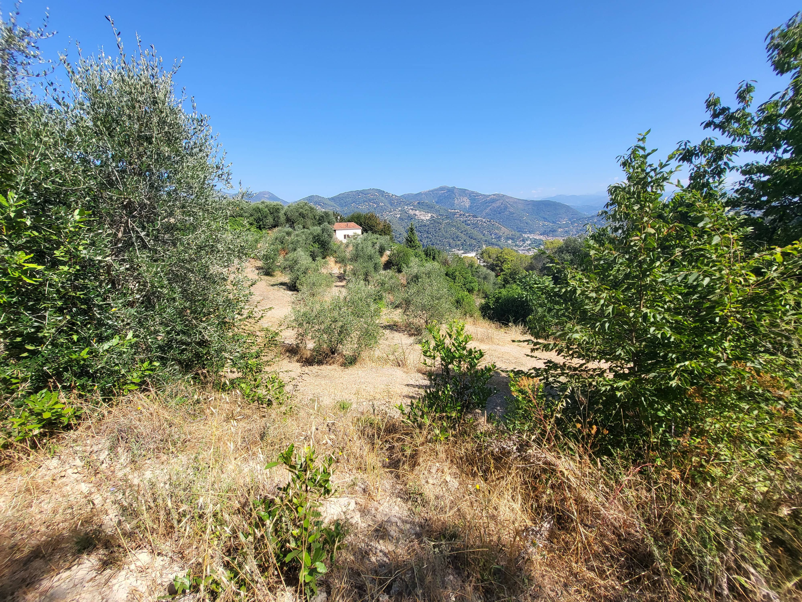 Achat immobilier Terrain   16415m2 à La Trinité (06340) - Photo n°17