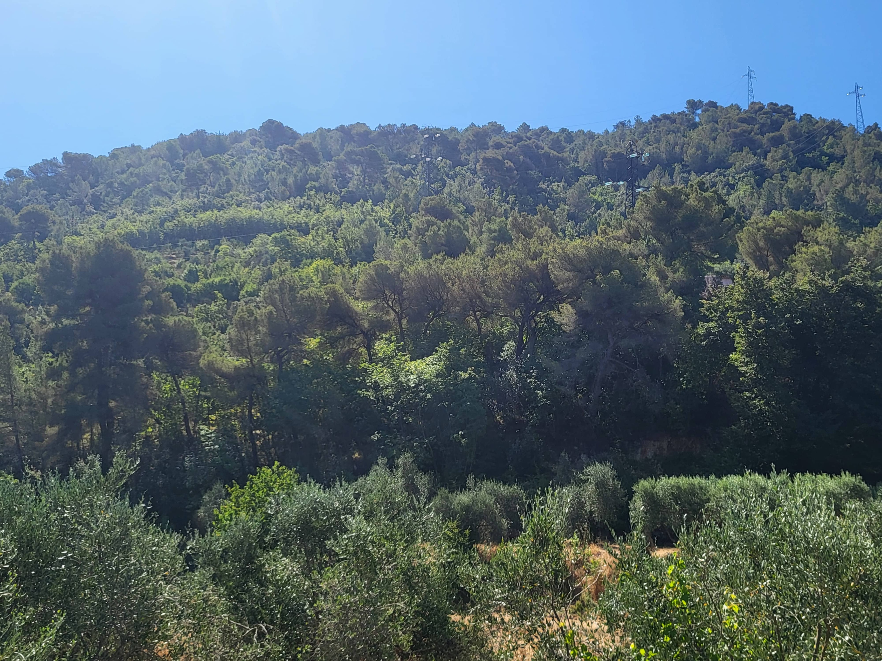 Achat immobilier Terrain   16415m2 à La Trinité (06340) - Photo n°18