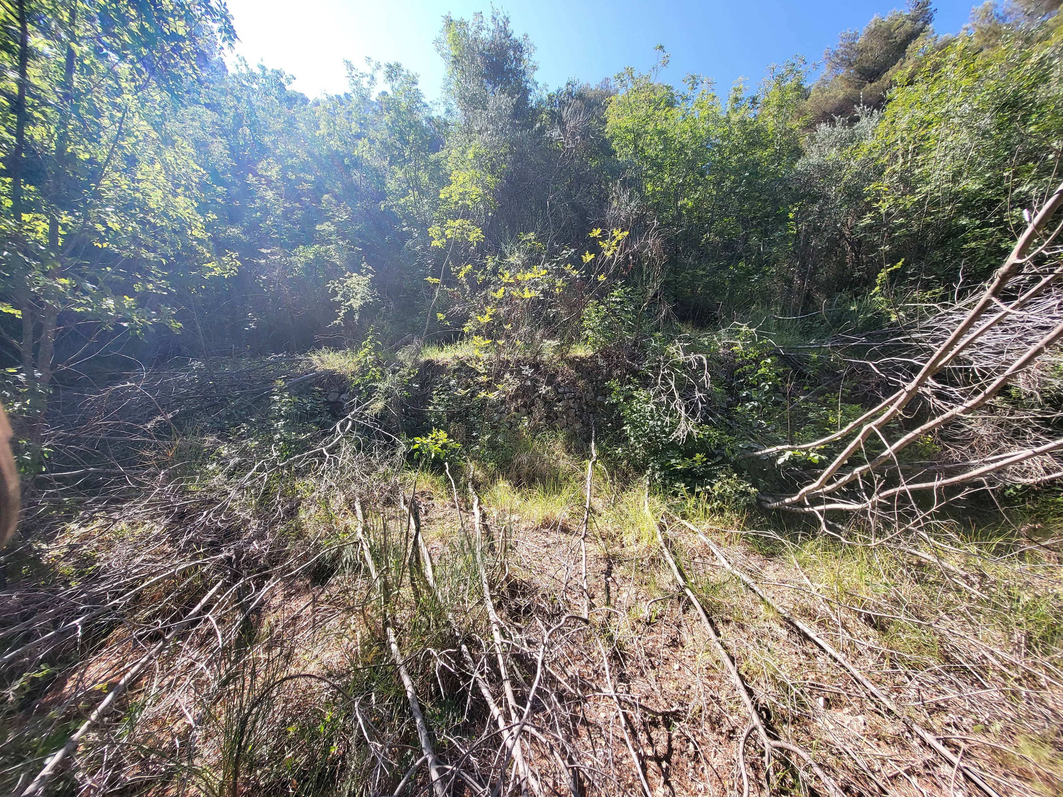 Achat immobilier Terrain   16415m2 à La Trinité (06340) - Photo n°6