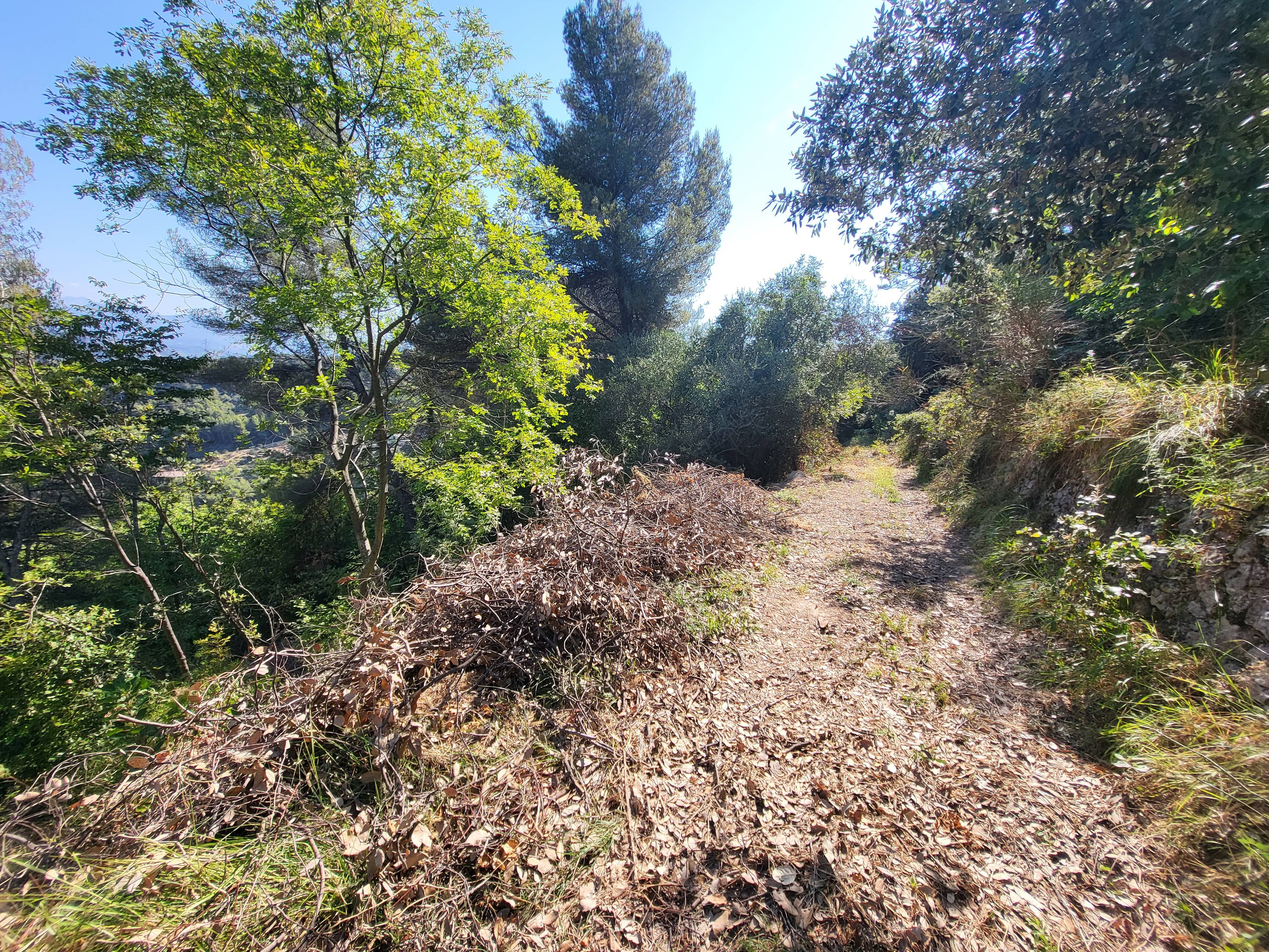 Achat immobilier Terrain   16415m2 à La Trinité (06340) - Photo n°7
