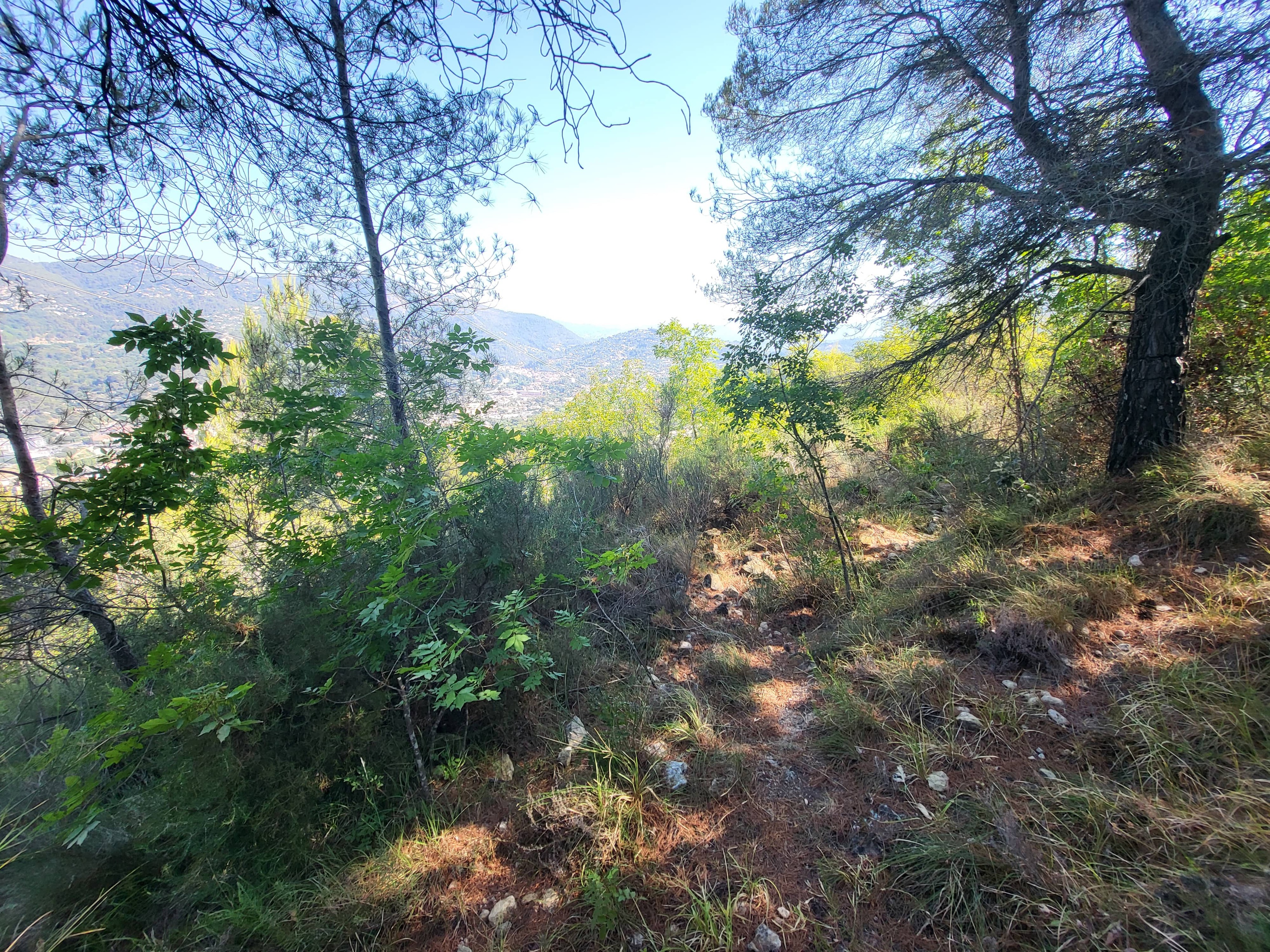 Achat immobilier Terrain   16415m2 à La Trinité (06340) - Photo n°8
