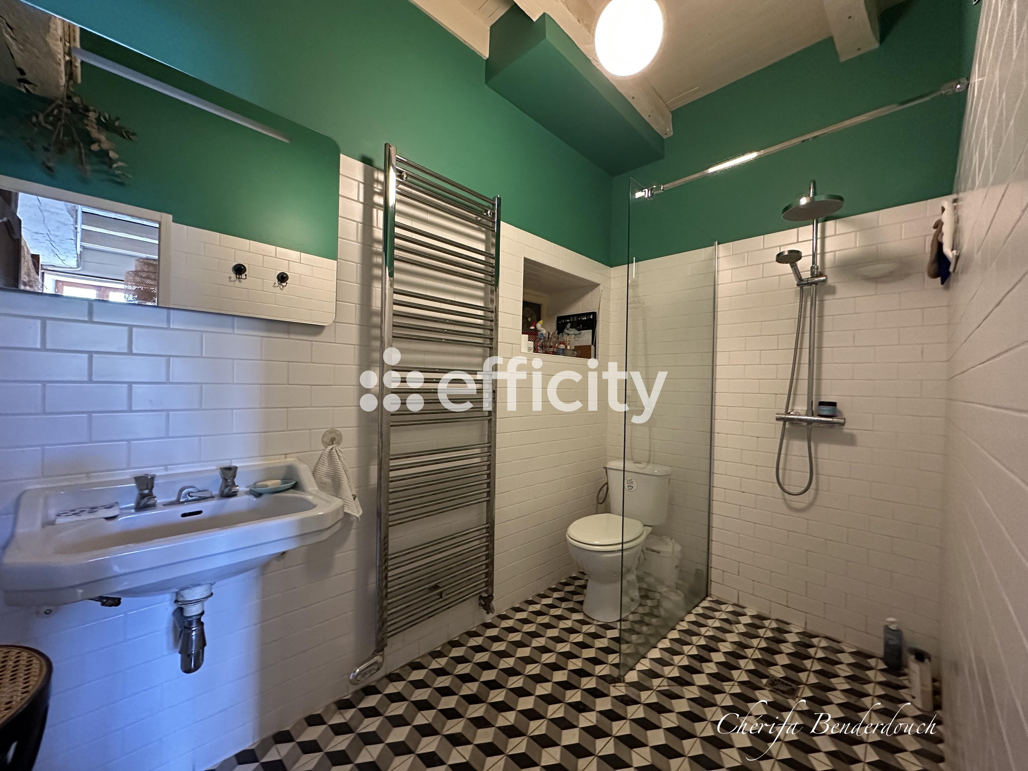 Achat immobilier Maison 6 pièces  148m2 à Gensac (33890) - Photo n°11