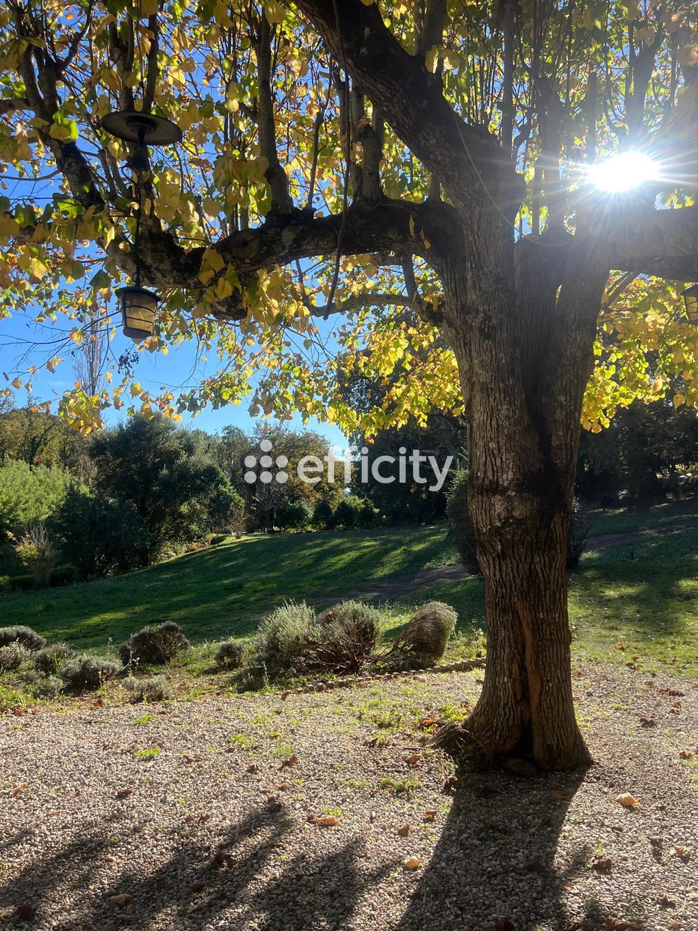 Achat immobilier Maison 8 pièces  200m2 à La Garde-Freinet (83680) - Photo n°11