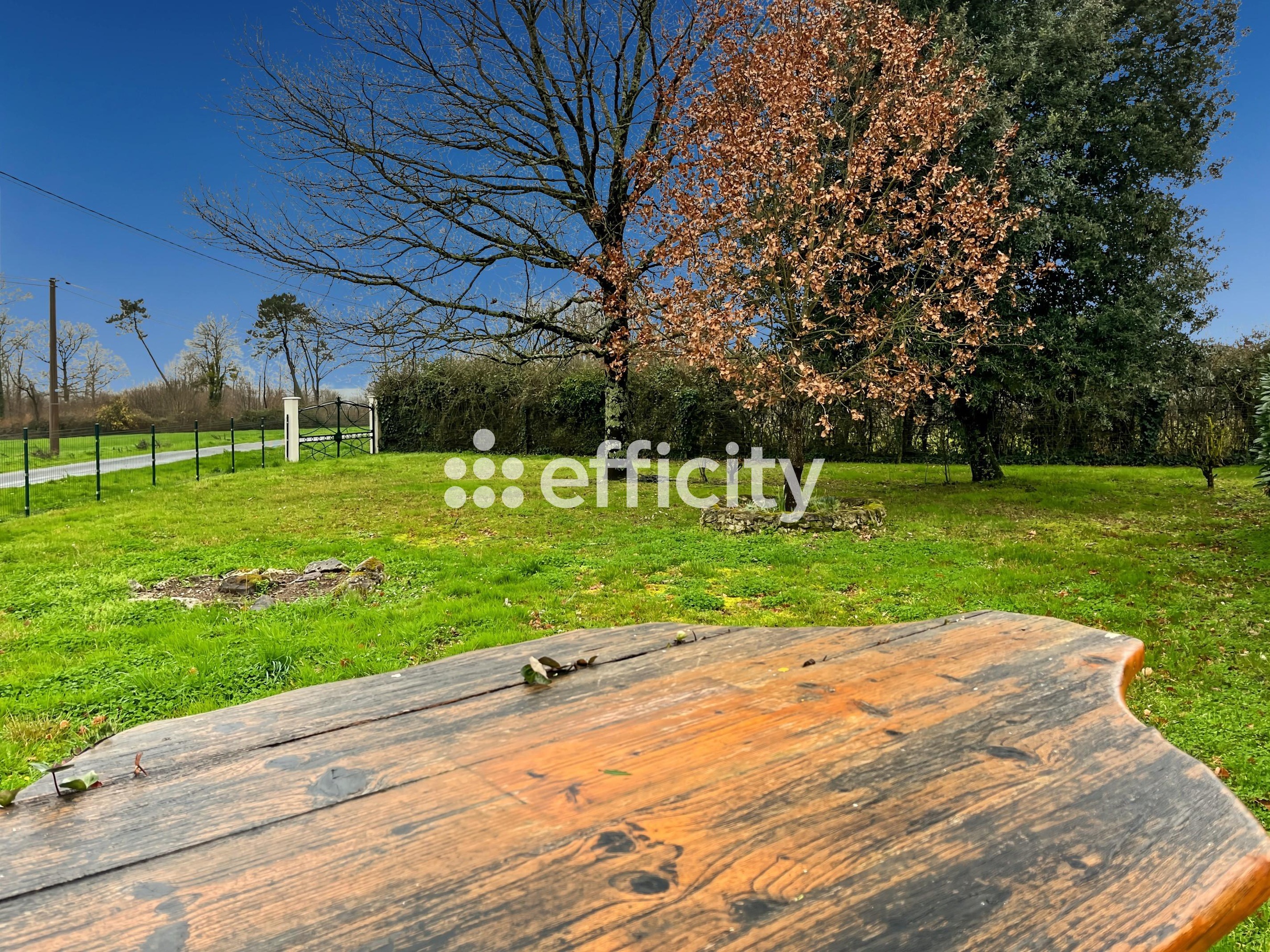 Achat immobilier Maison 9 pièces  183m2 à Chérac (17610) - Photo n°20