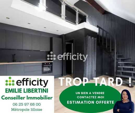 appartement 3 pièces - 56m2 à Lille (59000)