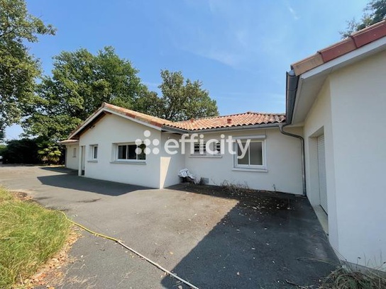 Achat immobilier Maison 7 pièces  186m2 à Le Taillan-Médoc (33320) - Photo n°1