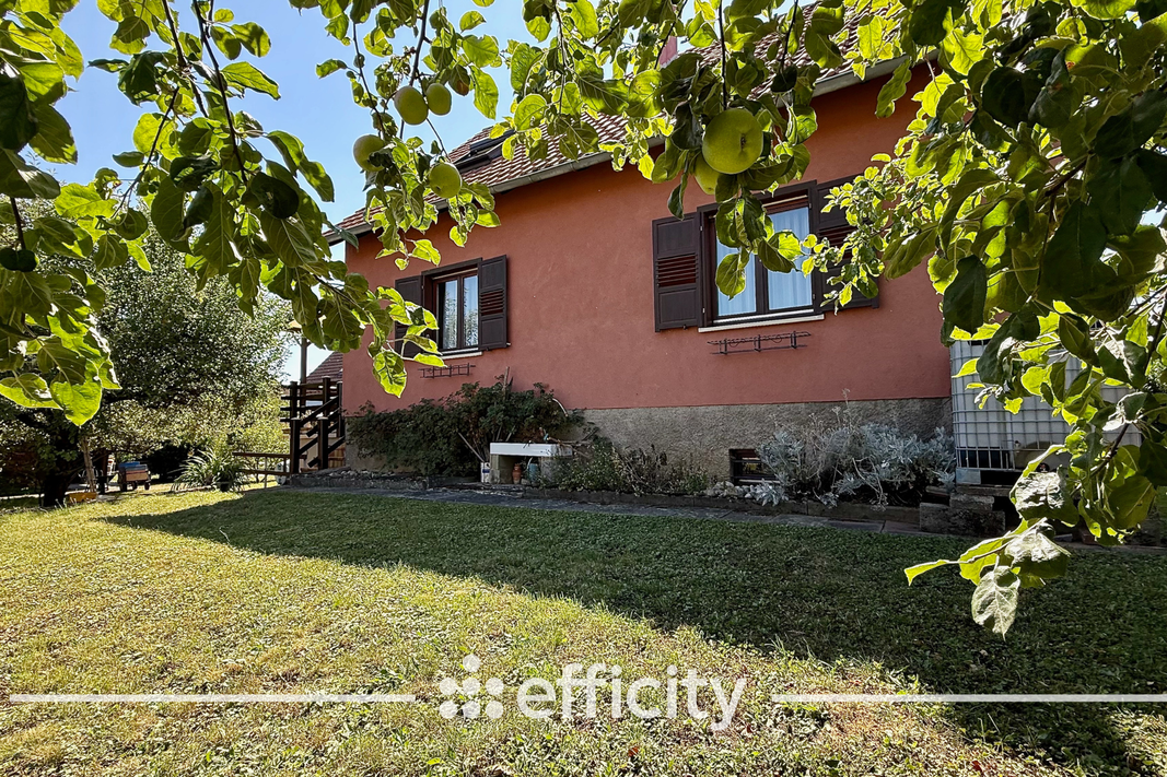 maison 5 pièces - 103m2 à Barr (67140)