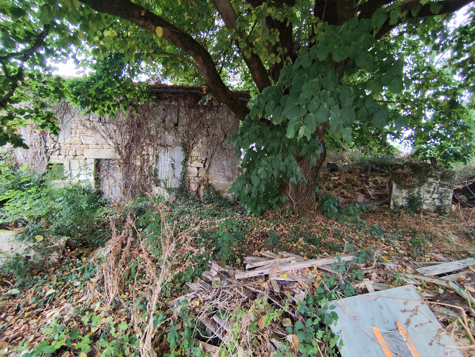 maison 1 pièces - 100,0m2 à Écoyeux (17770)