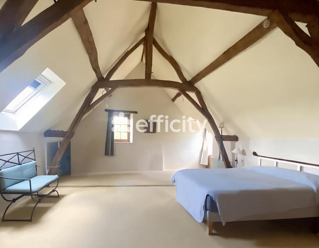 Achat immobilier Maison 9 pièces  230m2 à La Chapelle-sur-Loire (37140) - Photo n°8