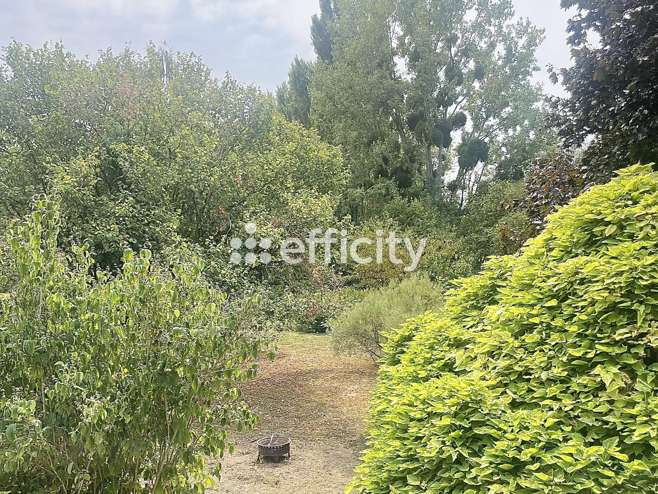 Achat immobilier Maison 9 pièces  230m2 à La Chapelle-sur-Loire (37140) - Photo n°13