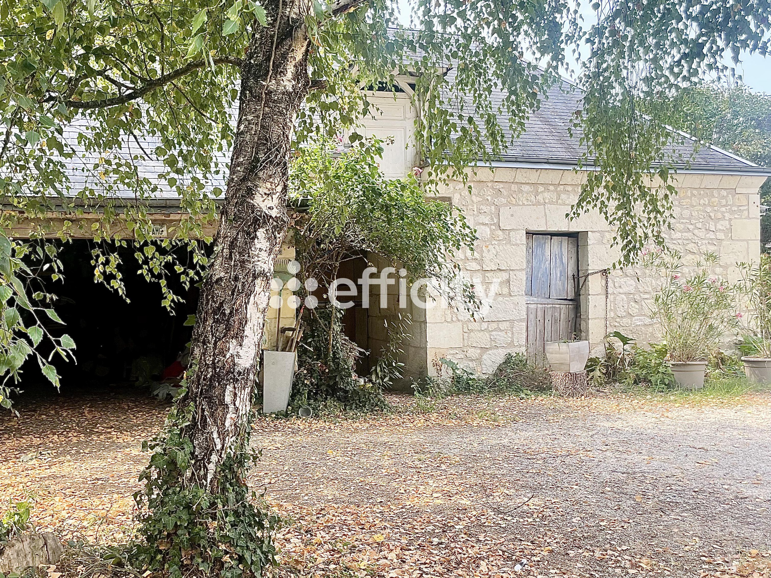 Achat immobilier Maison 9 pièces  230m2 à La Chapelle-sur-Loire (37140) - Photo n°12